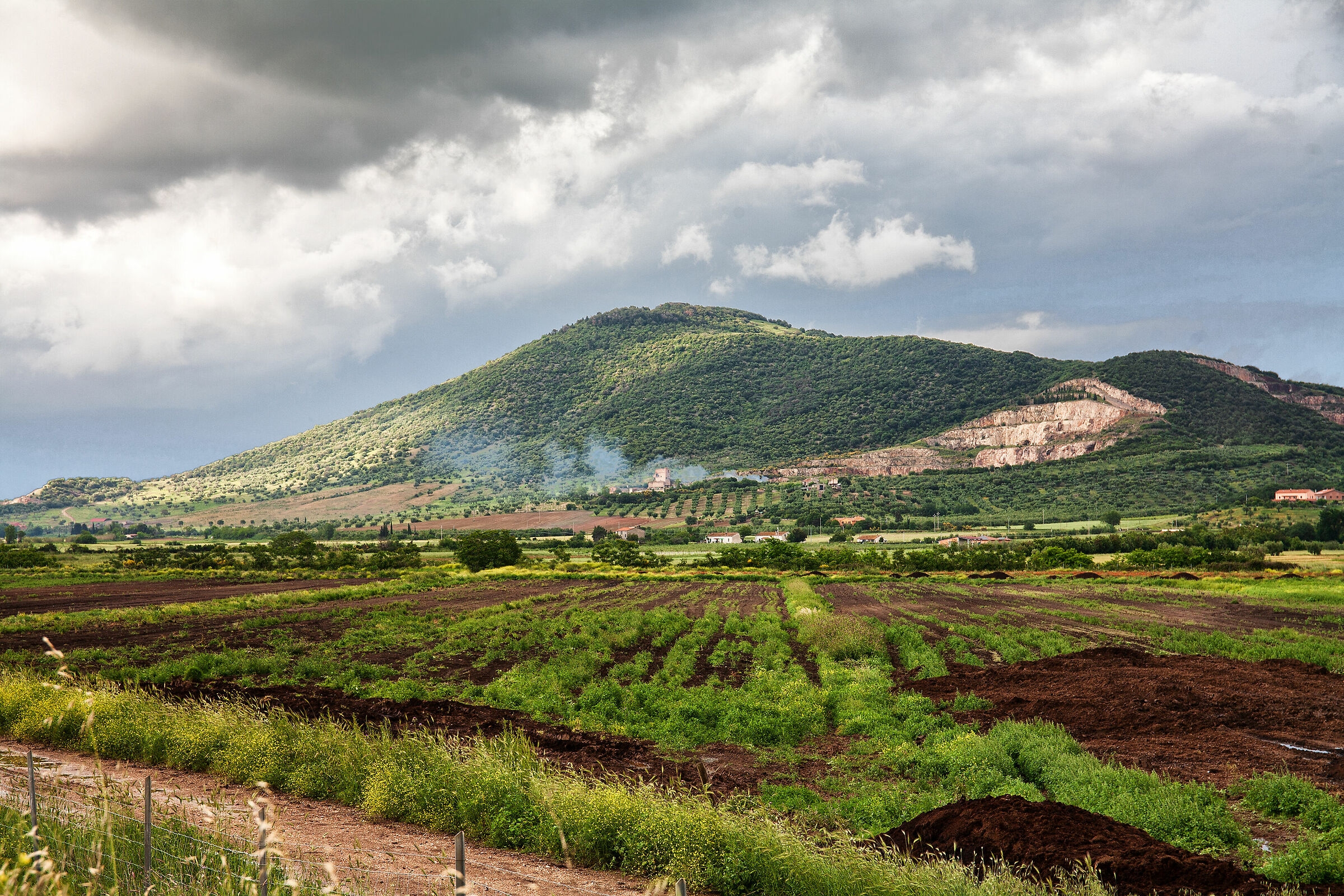 Vecchia cava di Roselle