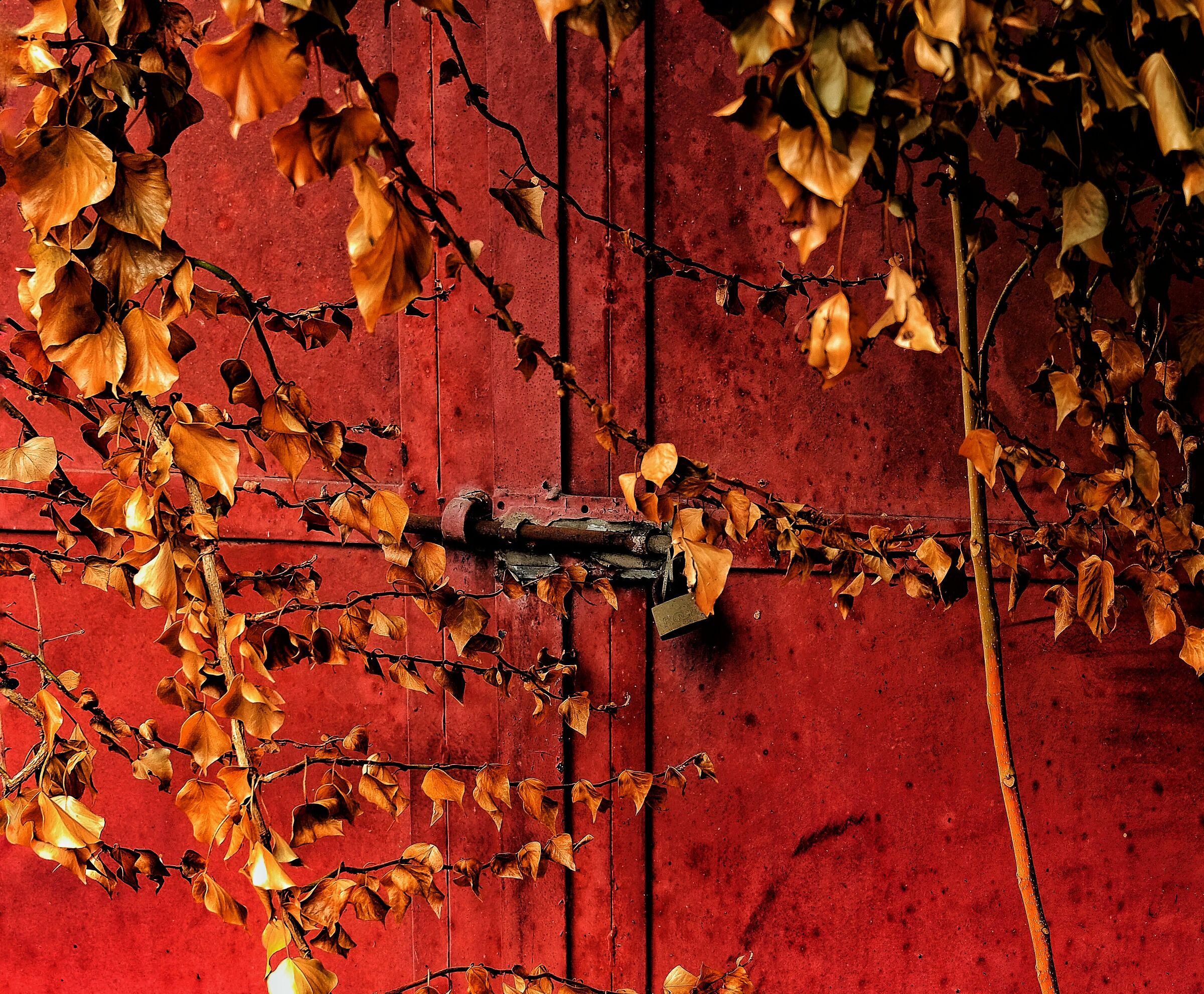 E che dire.... finirà la prigionia