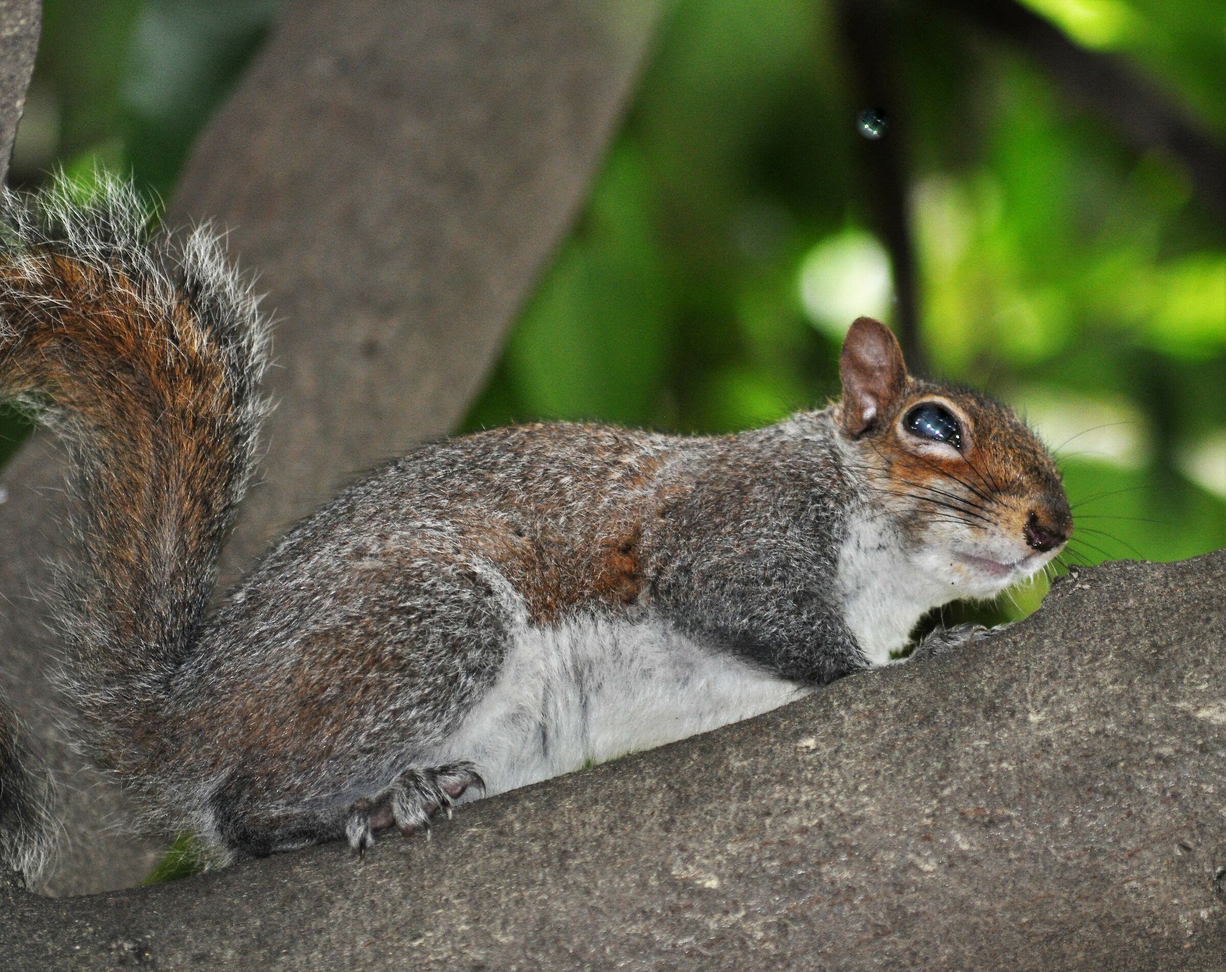 ..incontri nel parco cittadino...