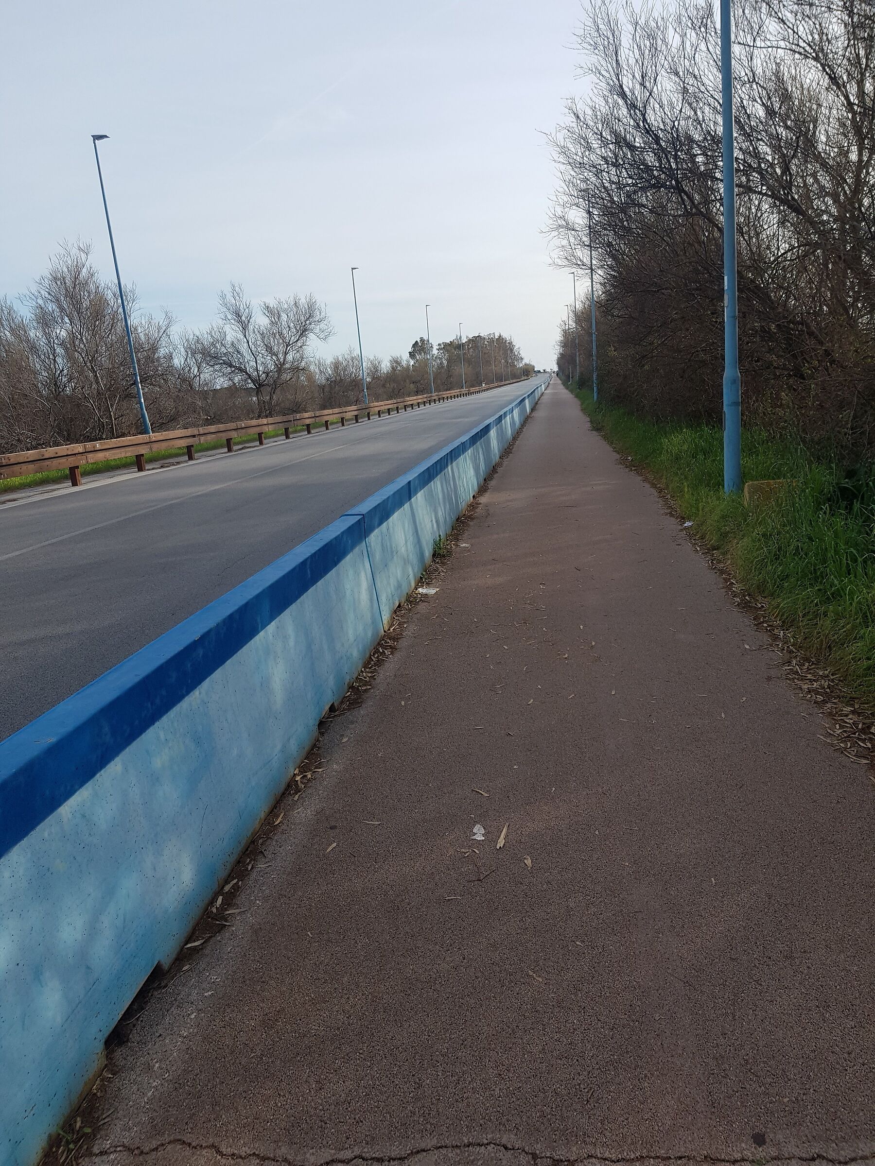 Pista Ciclabile ai tempi del Covid 19