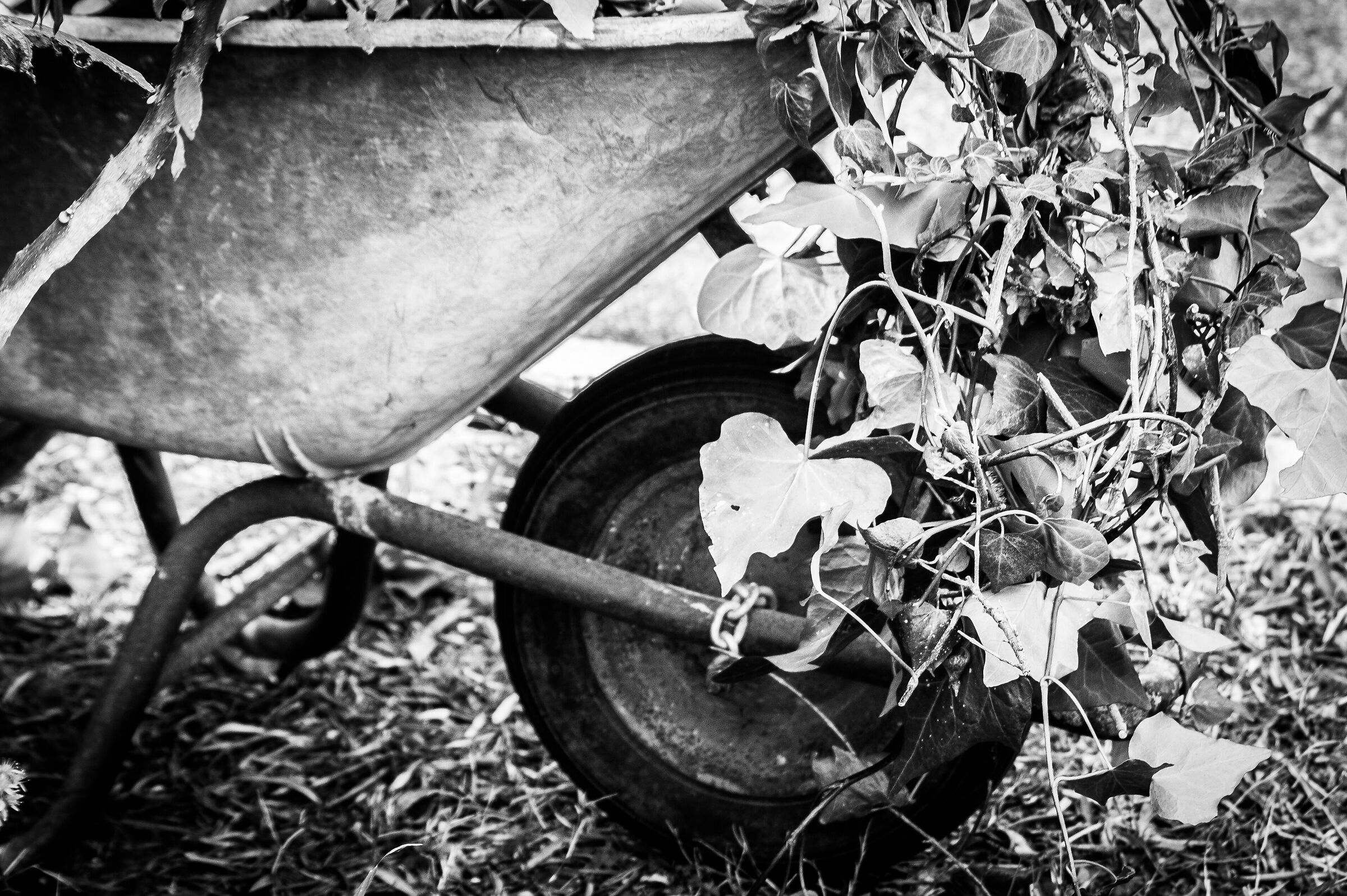 Wheelbarrow