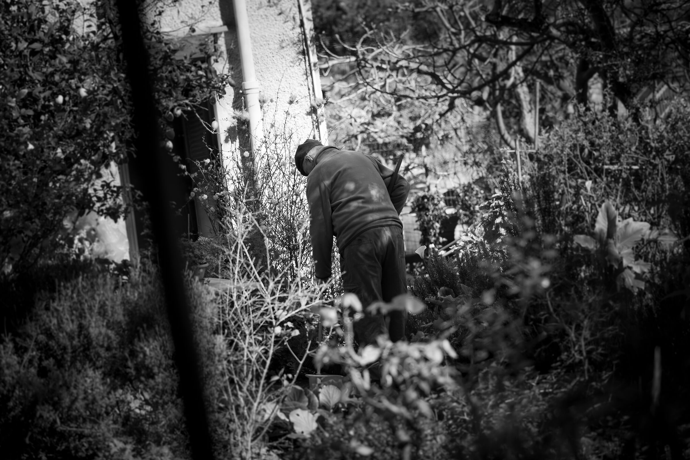 Giardino Del Ricordo