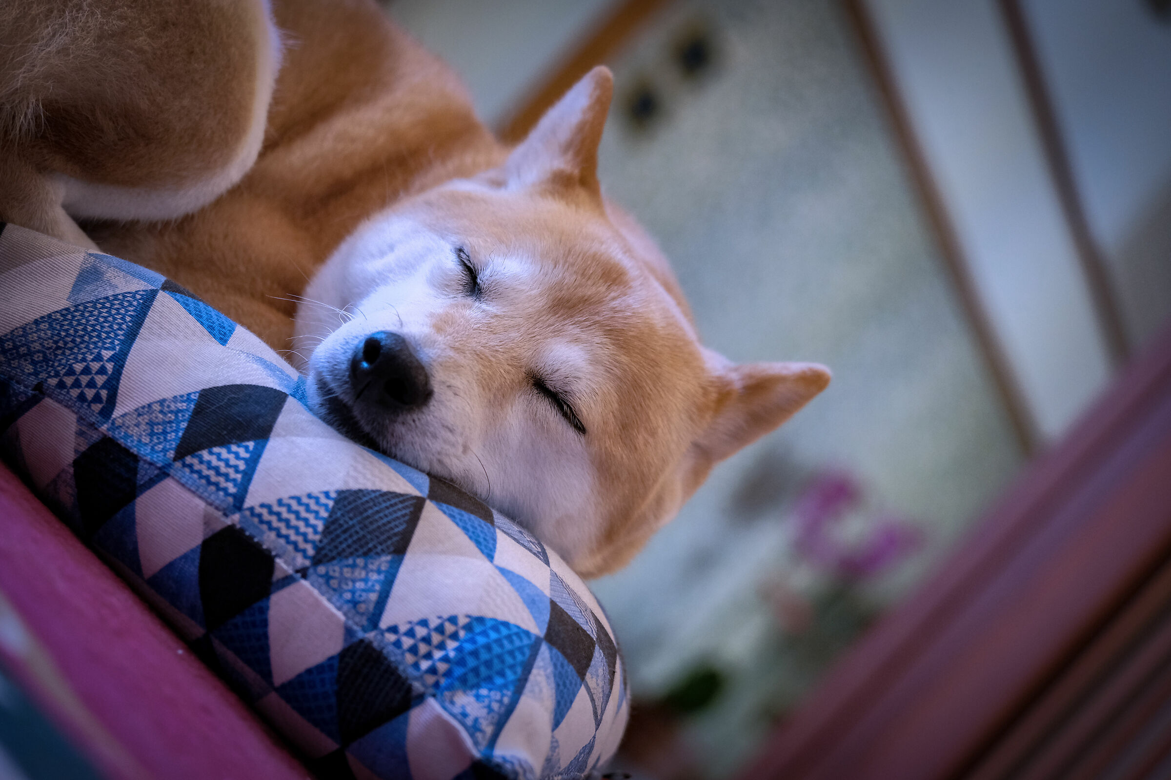 Il mio tesoro che riposa