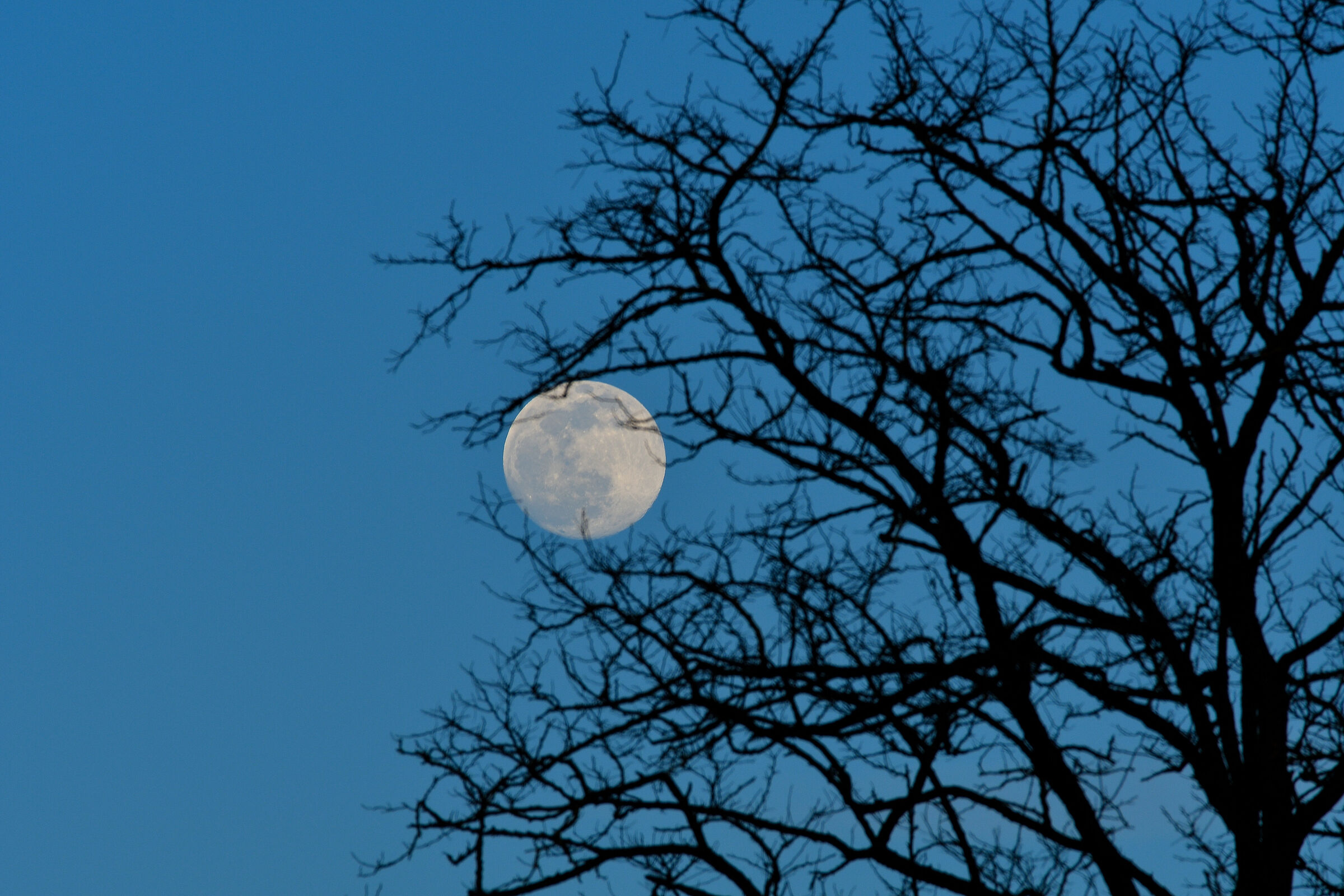 Full moon and blue time