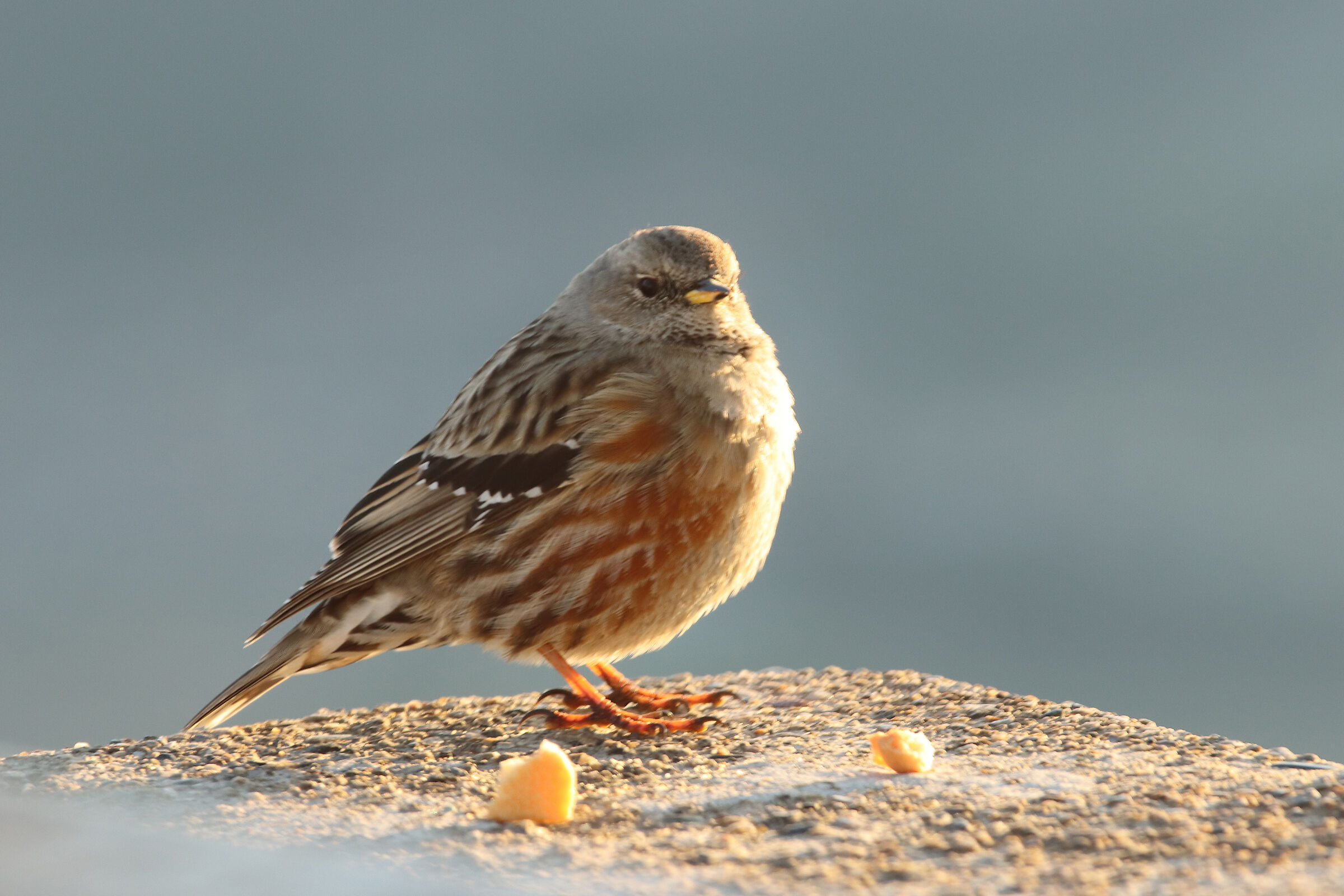 accanto a me sulla cima