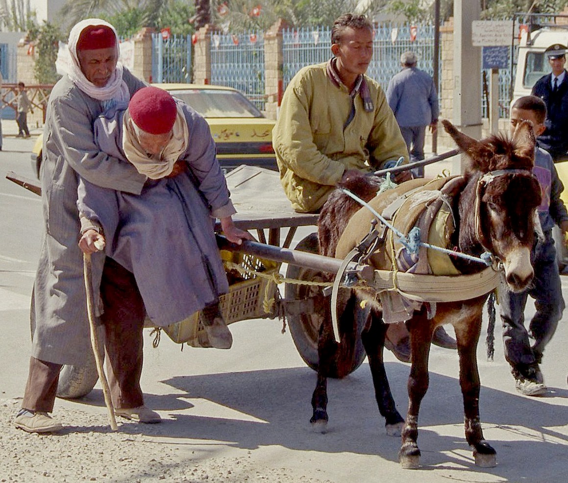 Tunisia 1997: Solidarity (Digitalized)