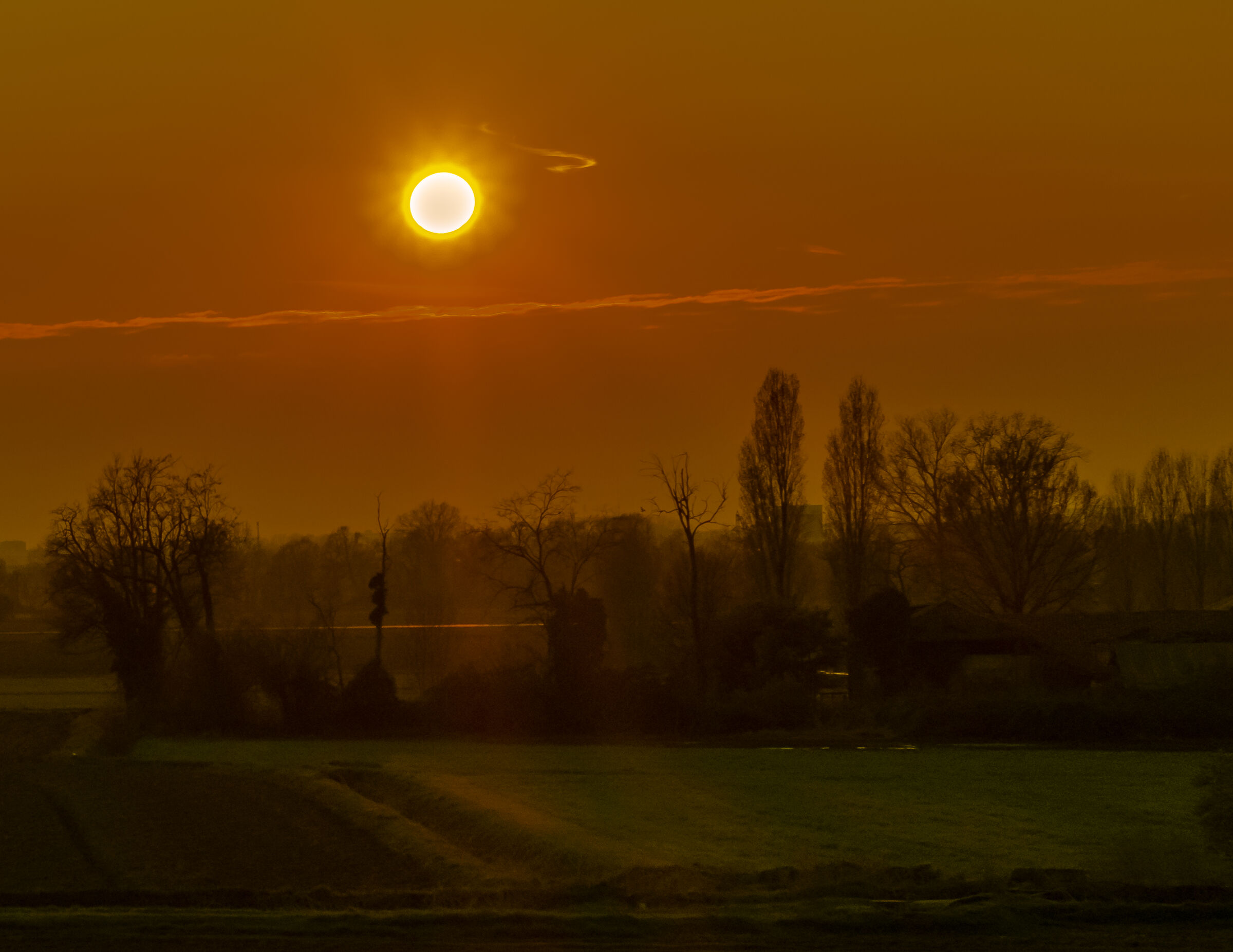 Il sole irradia il prato
