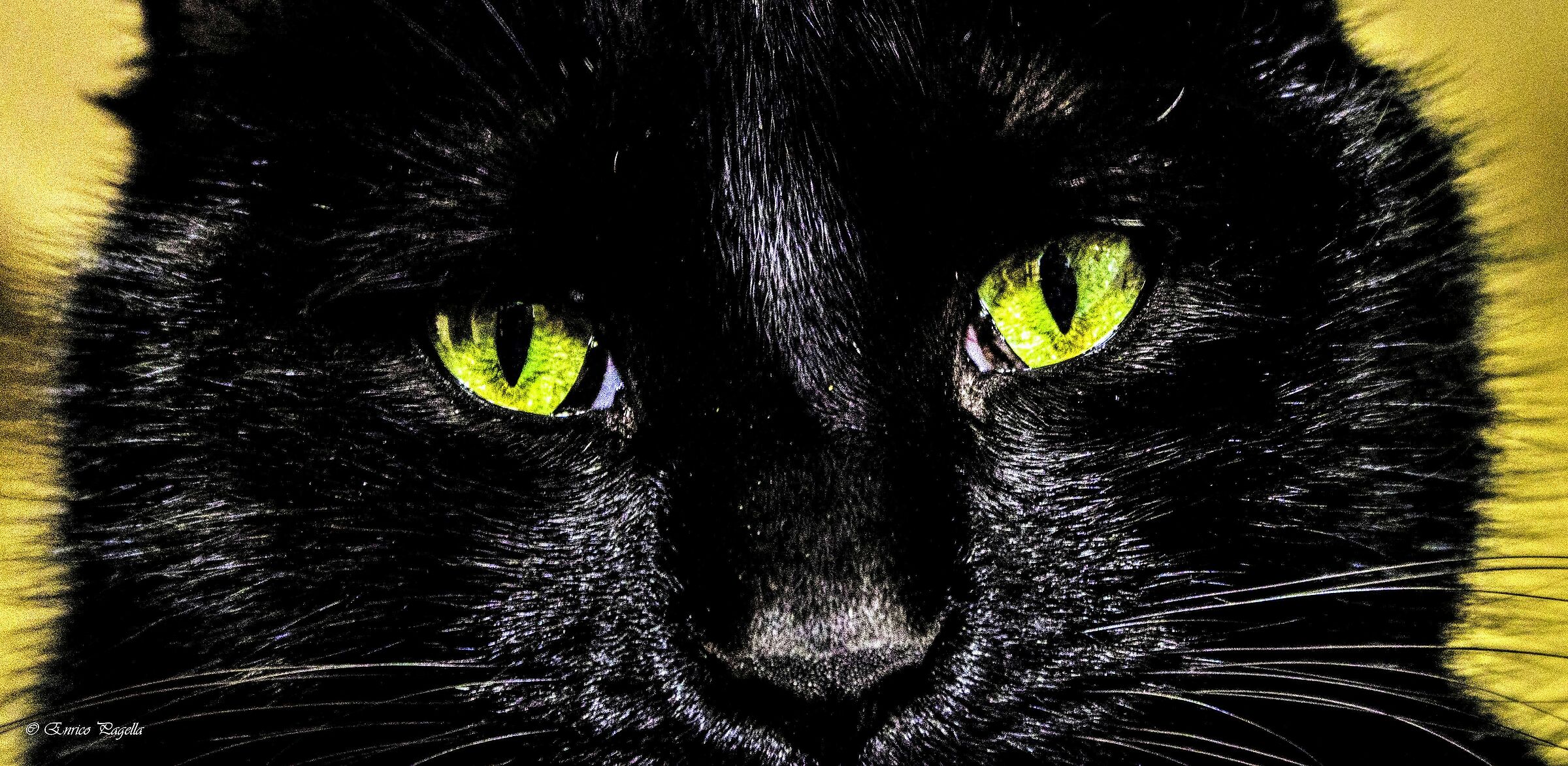 Pippi's eyes that no longer shine