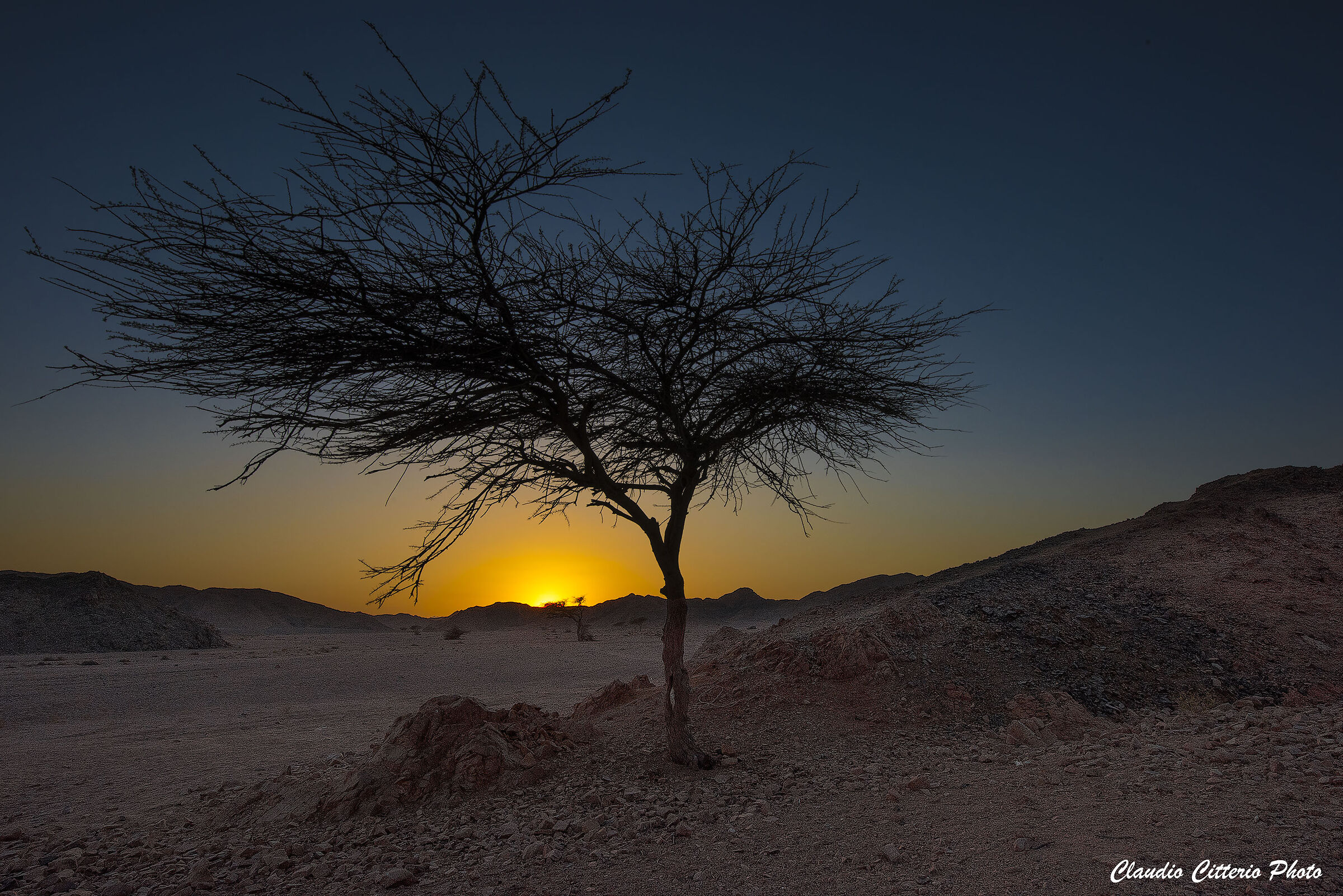 Sunset in the desert