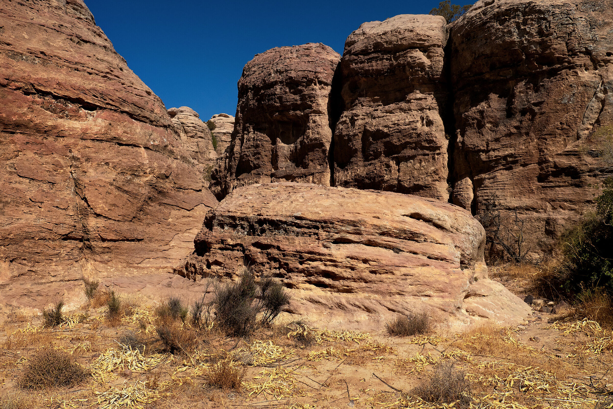 Giordania - Riserva della biosfera di Dana 2019