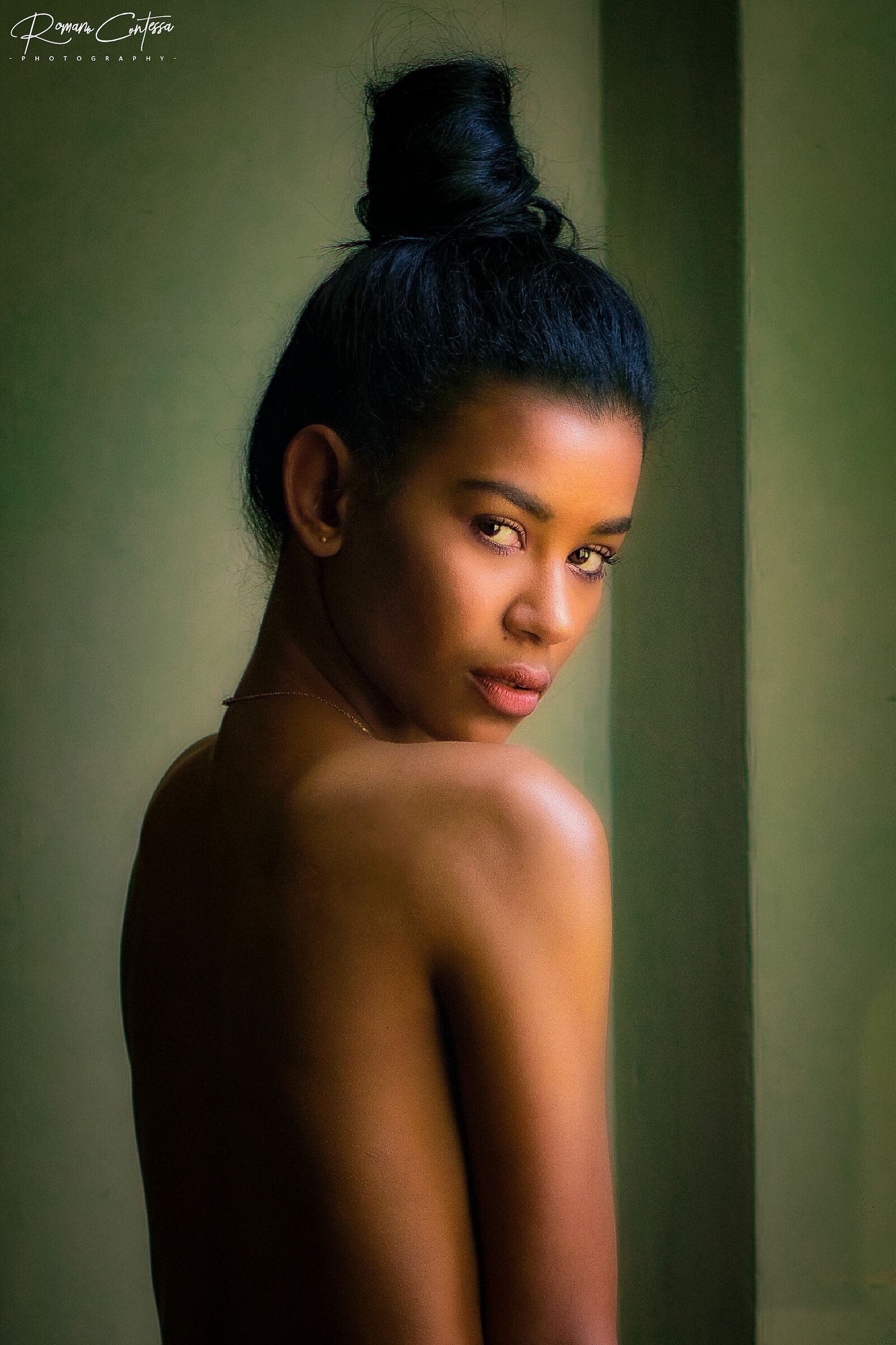 Rosa Nelly - Towards painting.