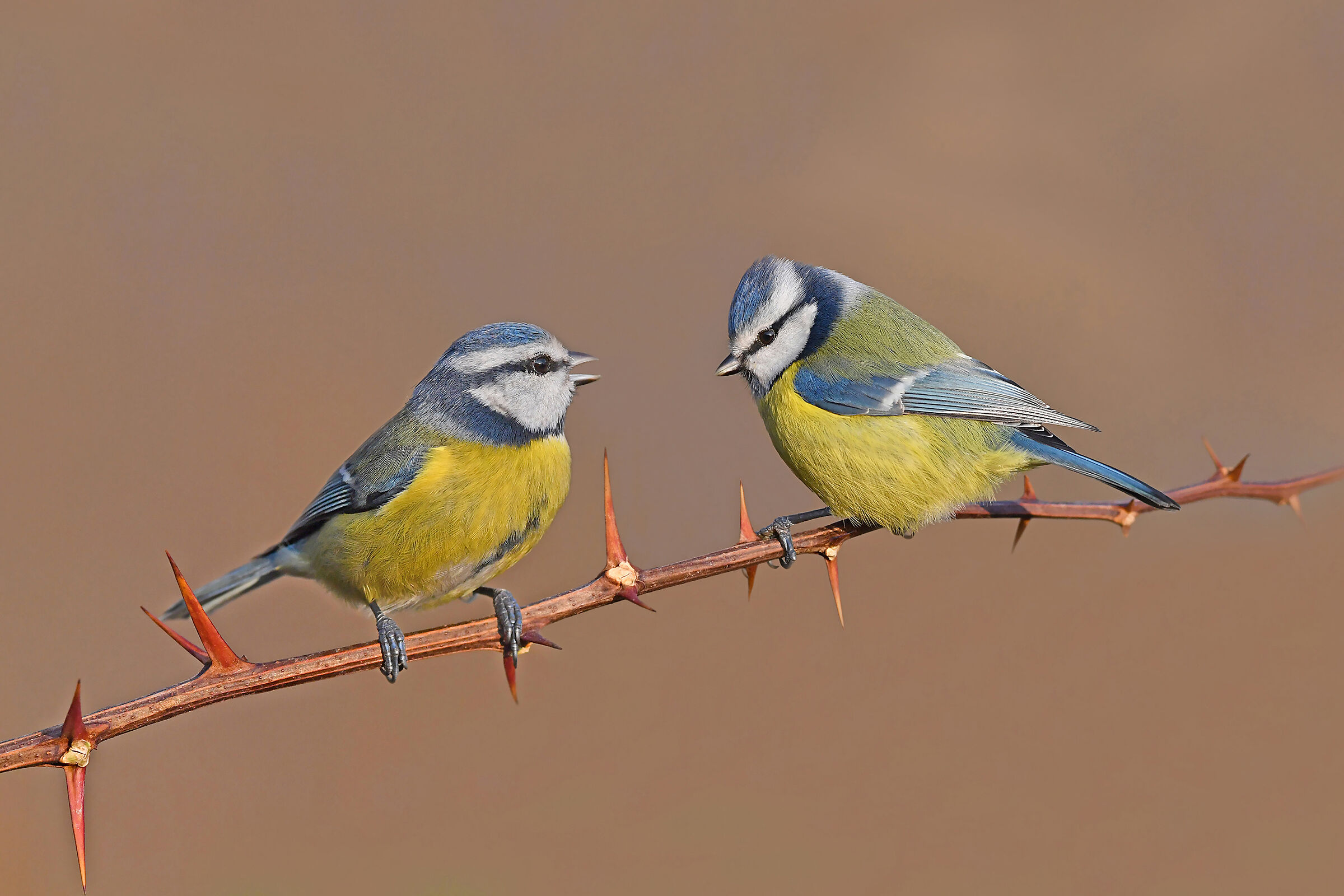 ...almeno un metro...