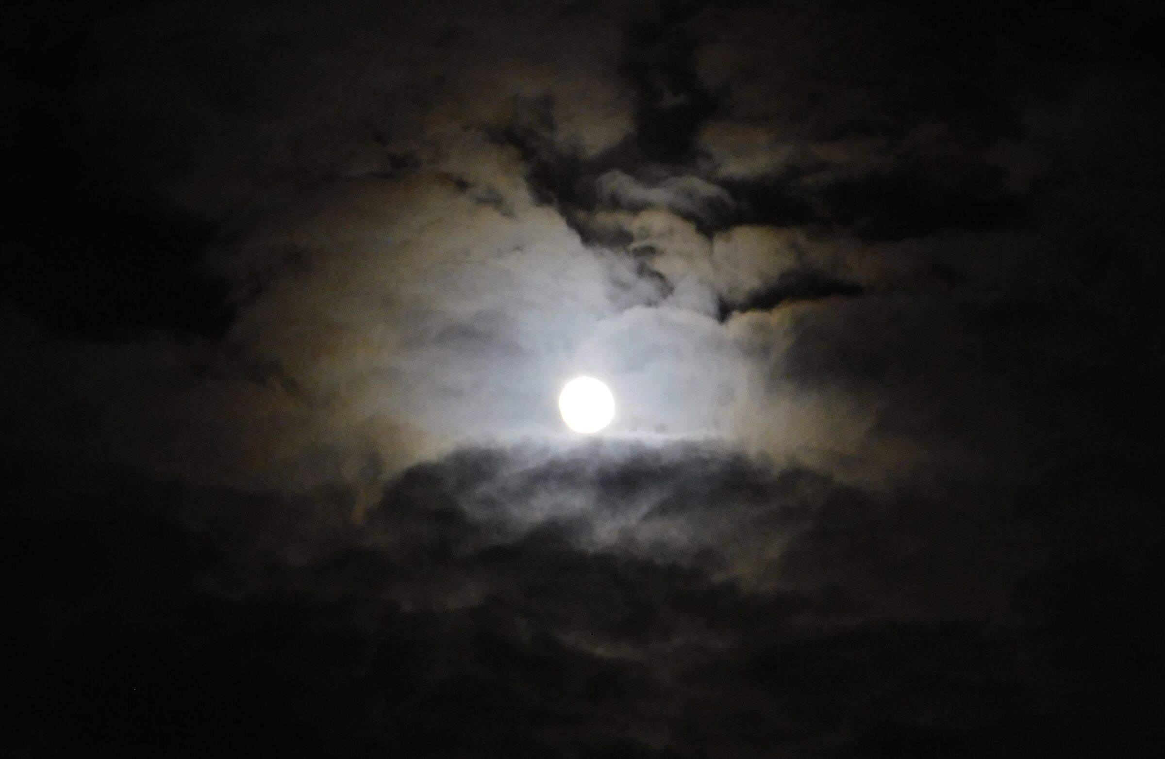 Pearl in the Sky