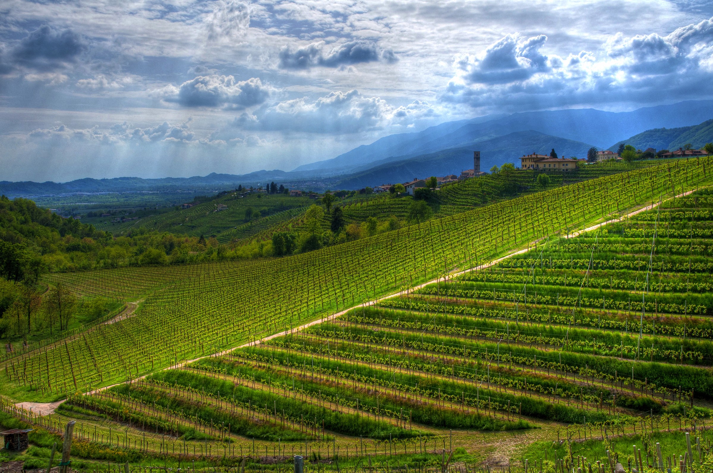 Colline Del Prosecco