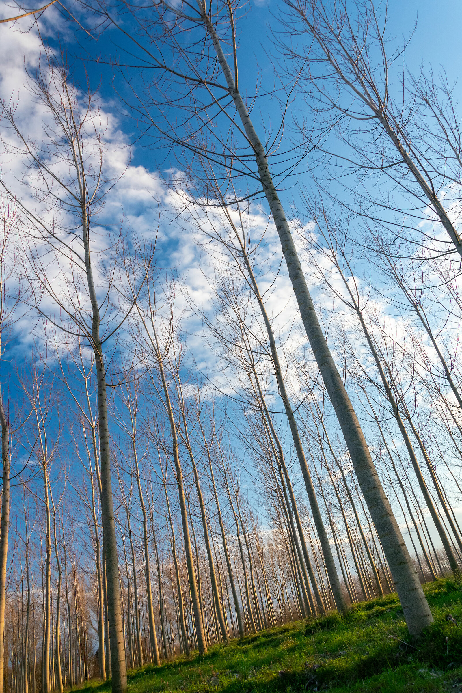 Everyone would like to touch the clouds