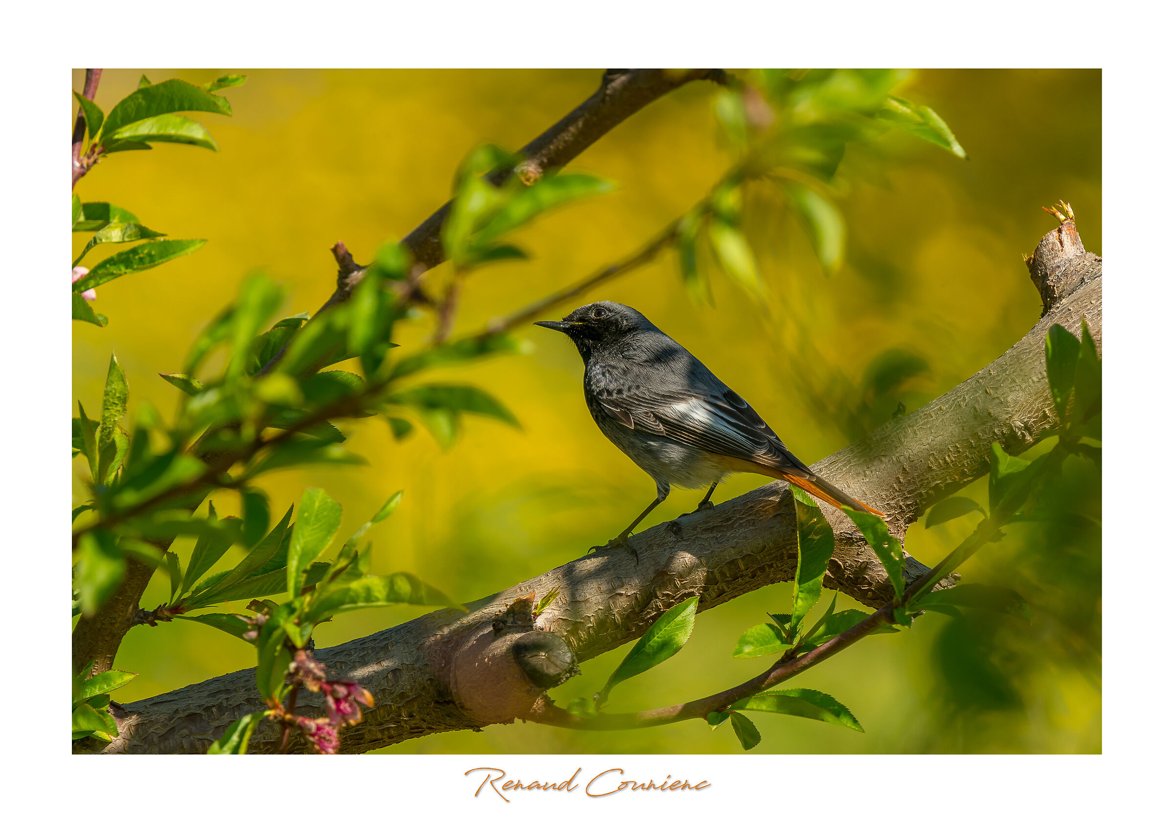 Mi piace giocare ... ma guardo :)