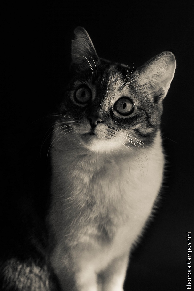 I wonder what you think ...