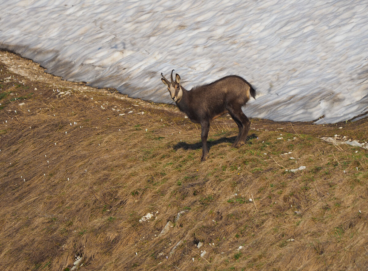 Tra l'inverno e la primavera