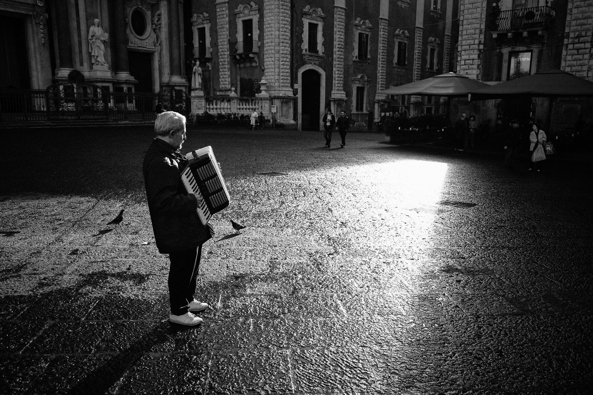 Untitled Photo
