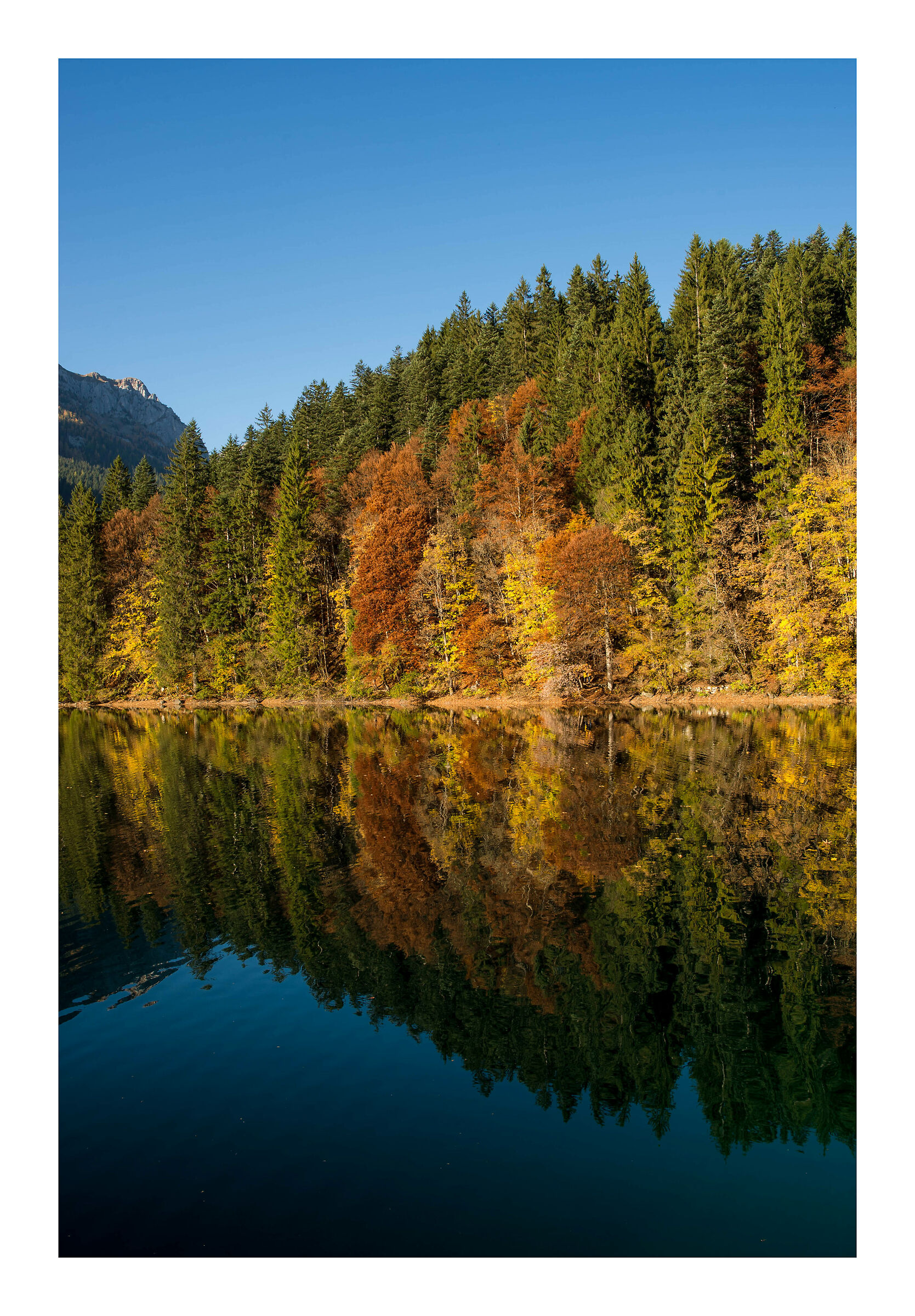 Lago di Tovel, quadretto d'autunno.