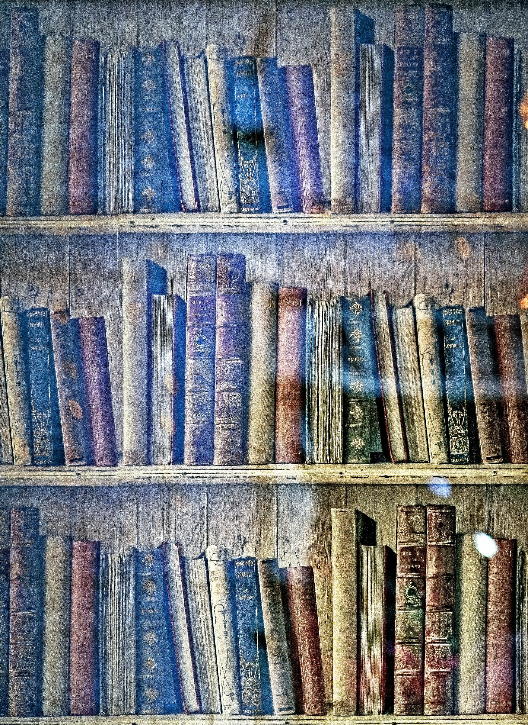 The library, from the showcase