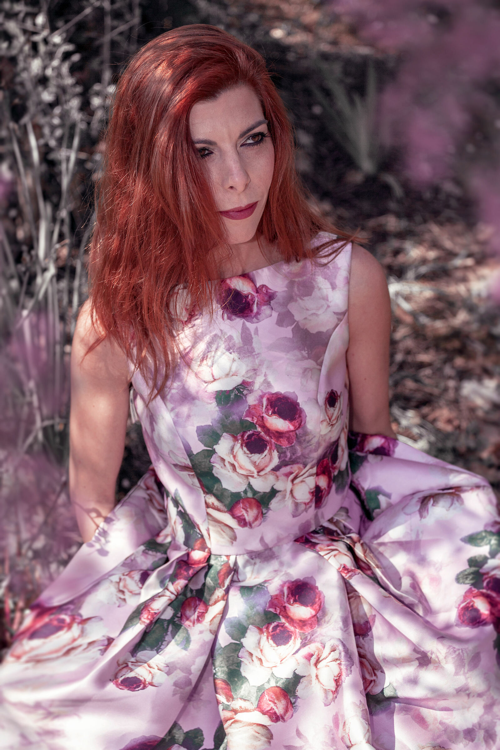 Fairyland