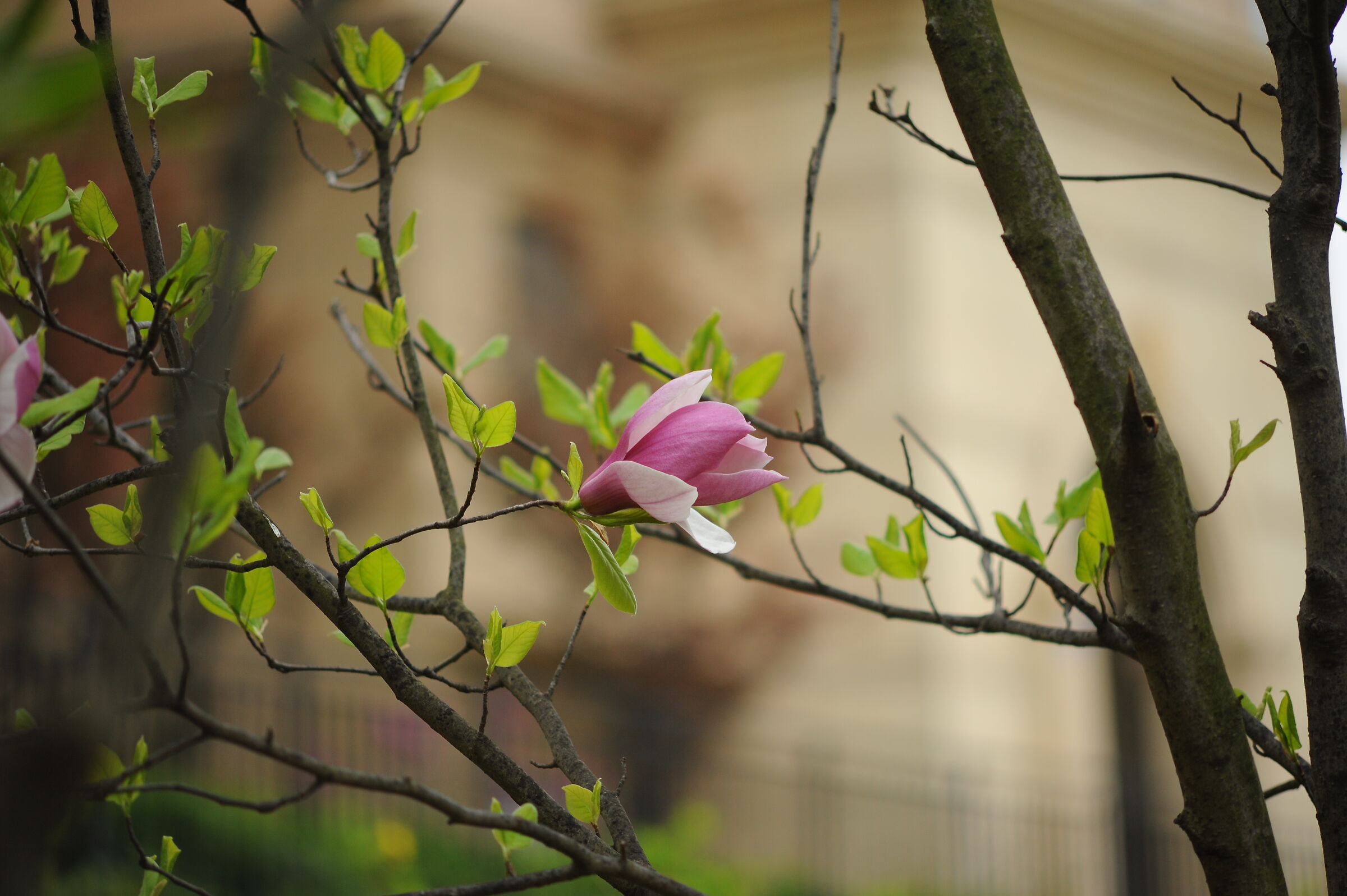 Untitled Photo