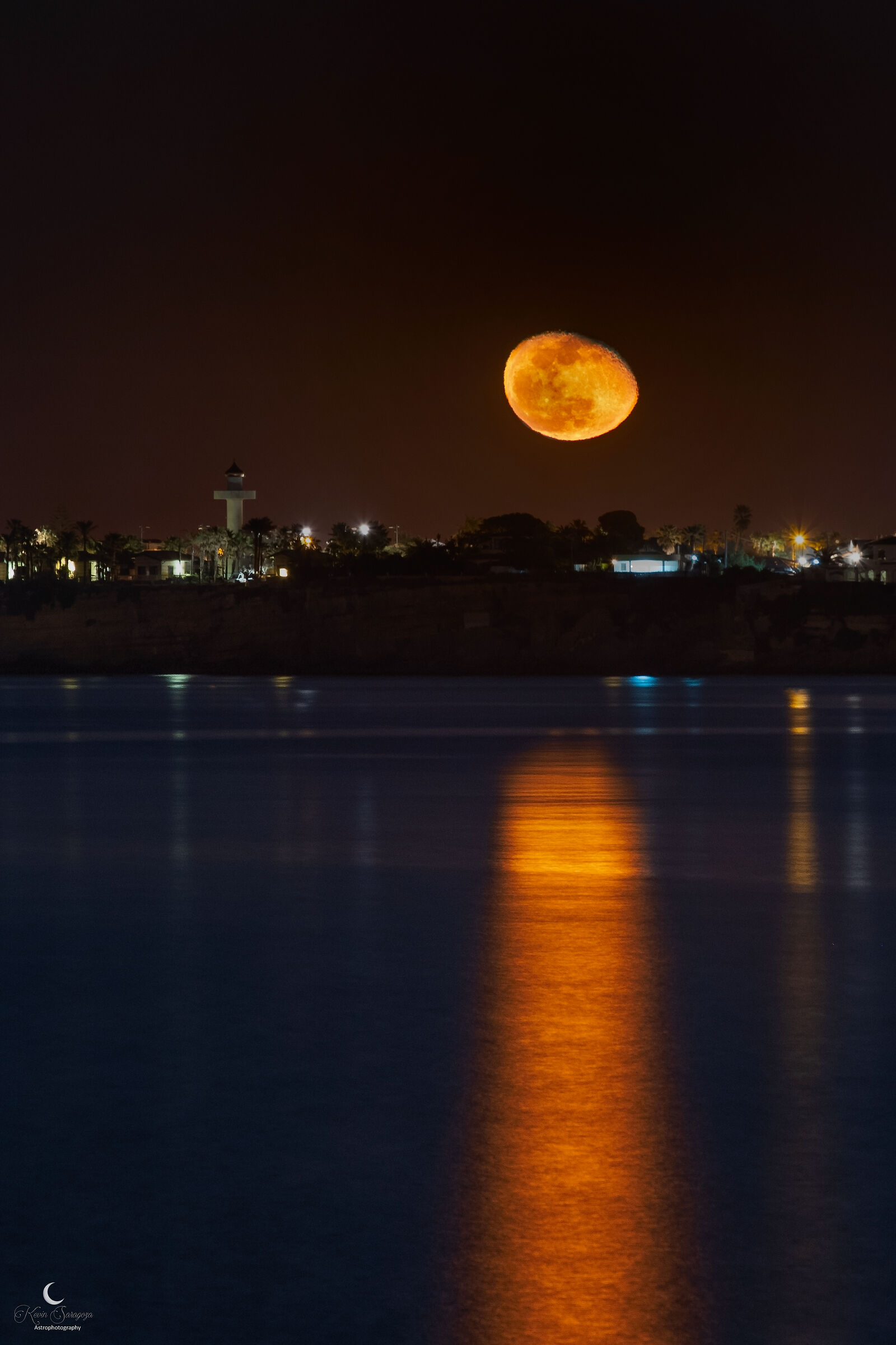 Gibbosa calante presso plemmirio