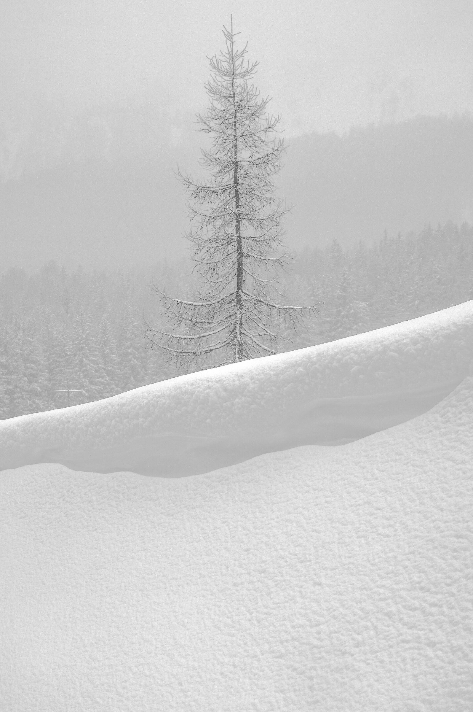 Sotto una soffice coperta