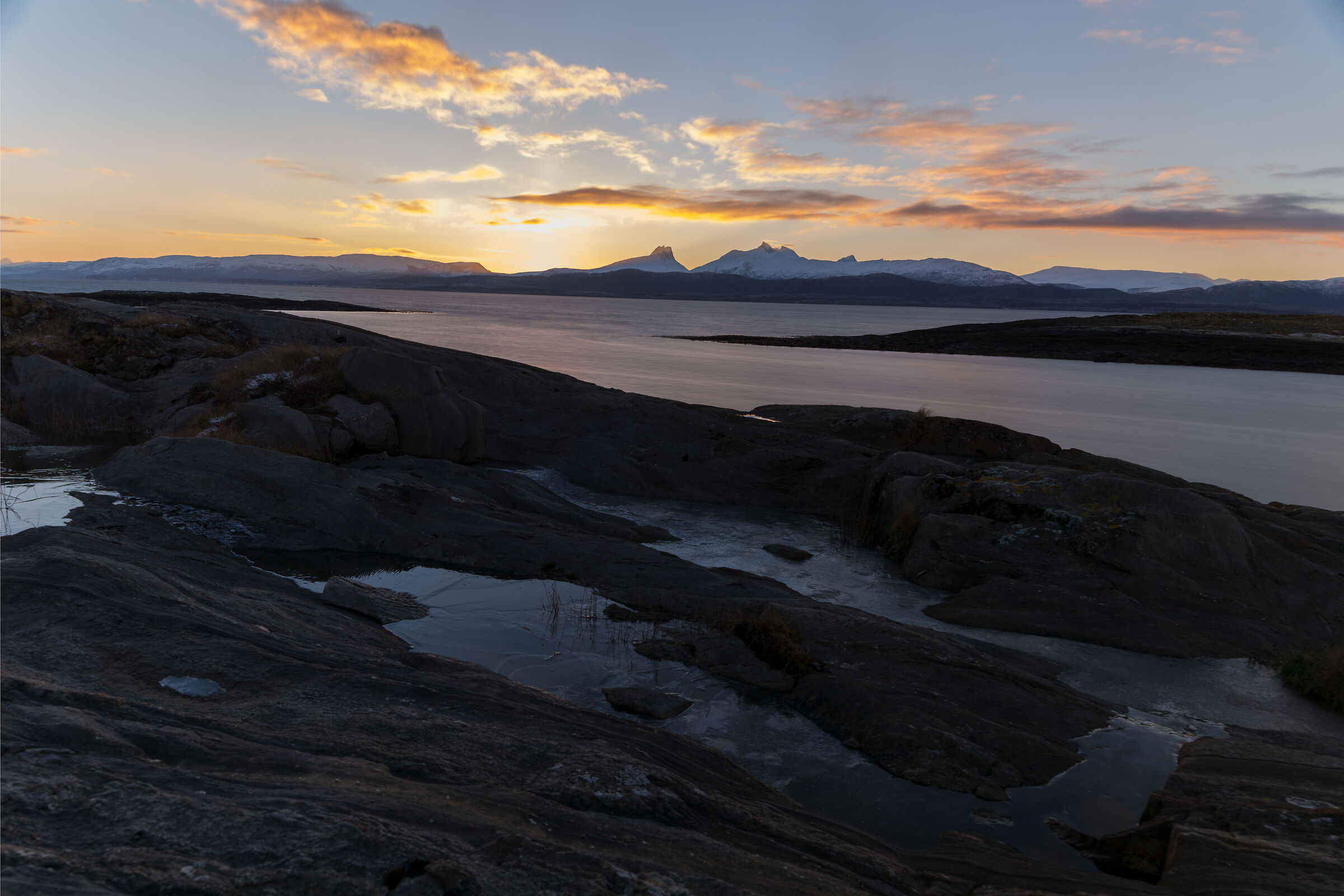 Alba nordica