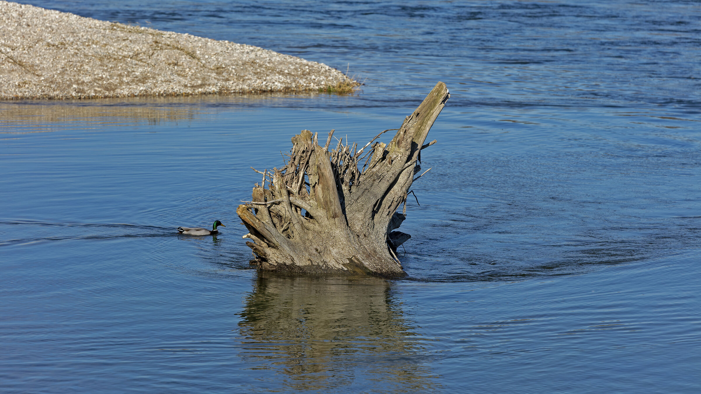 Giochiamo a nascondino?