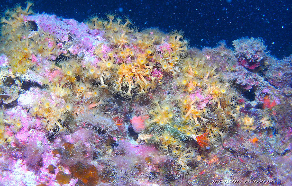 colori di santa marinella