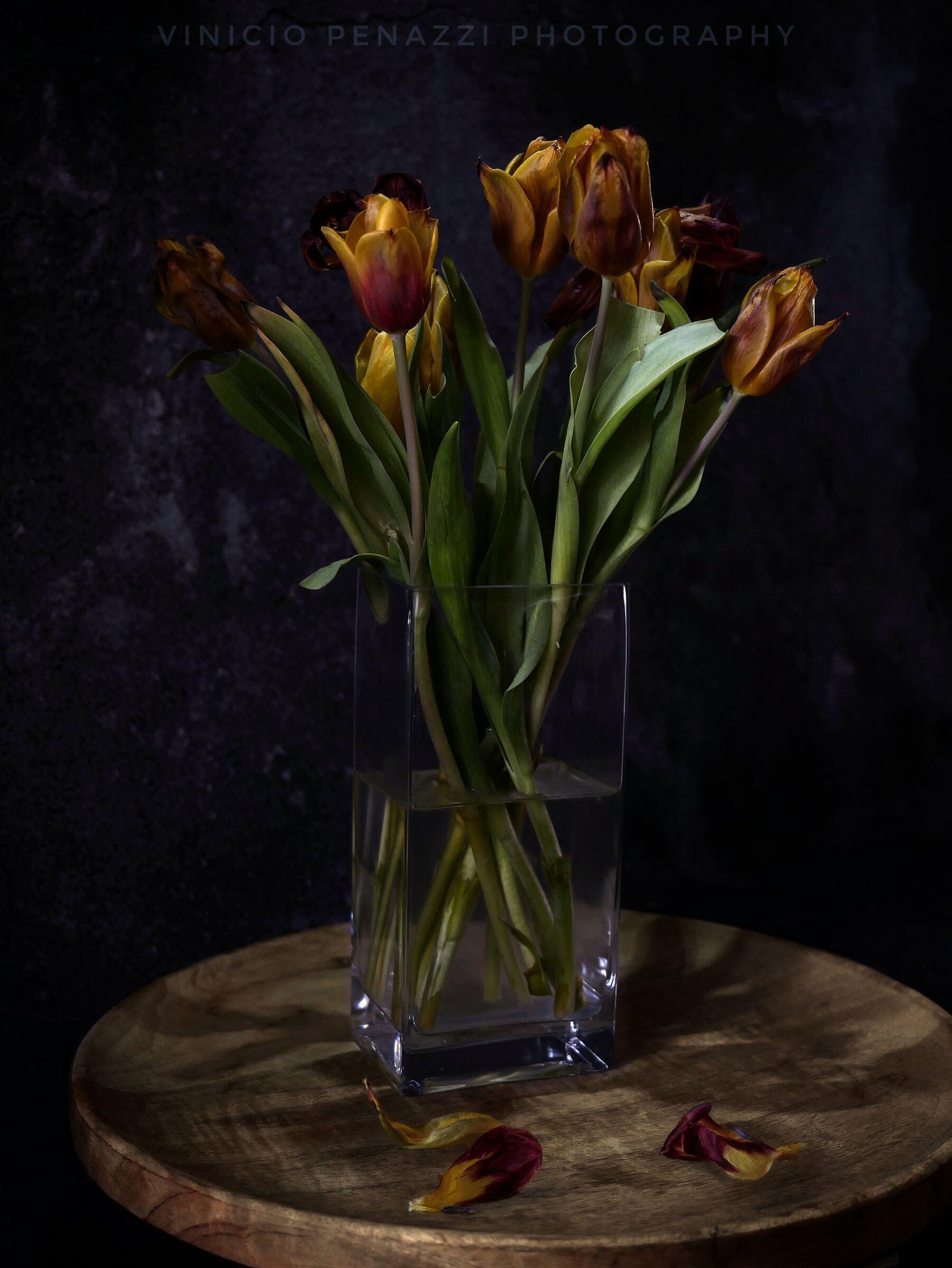 Tulips 01