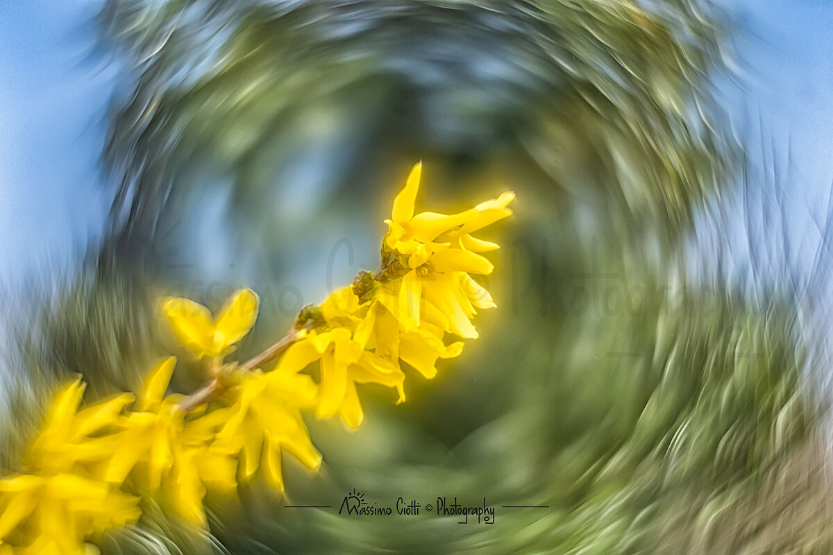 Arriva la primavera...