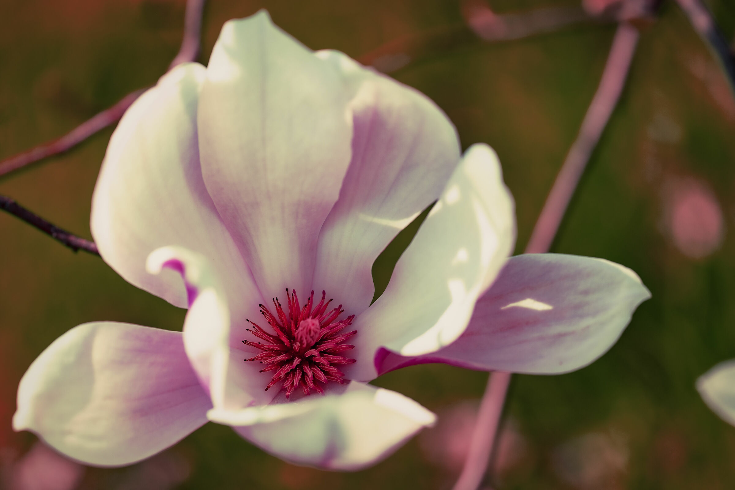 In a flower...............