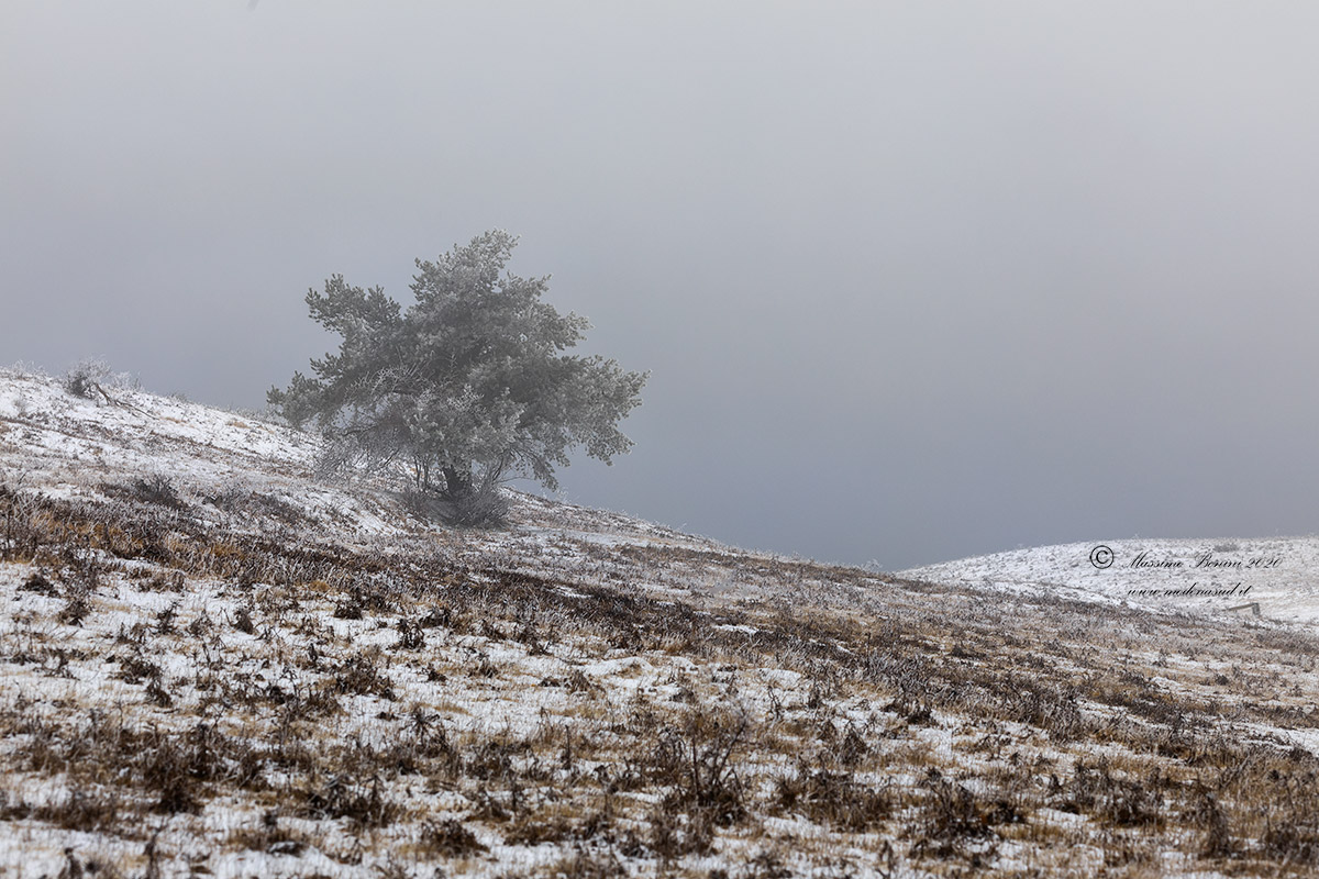 On the Pratignano Plateau