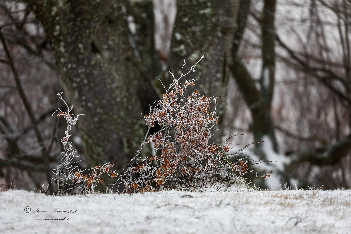 In the shadow of his father