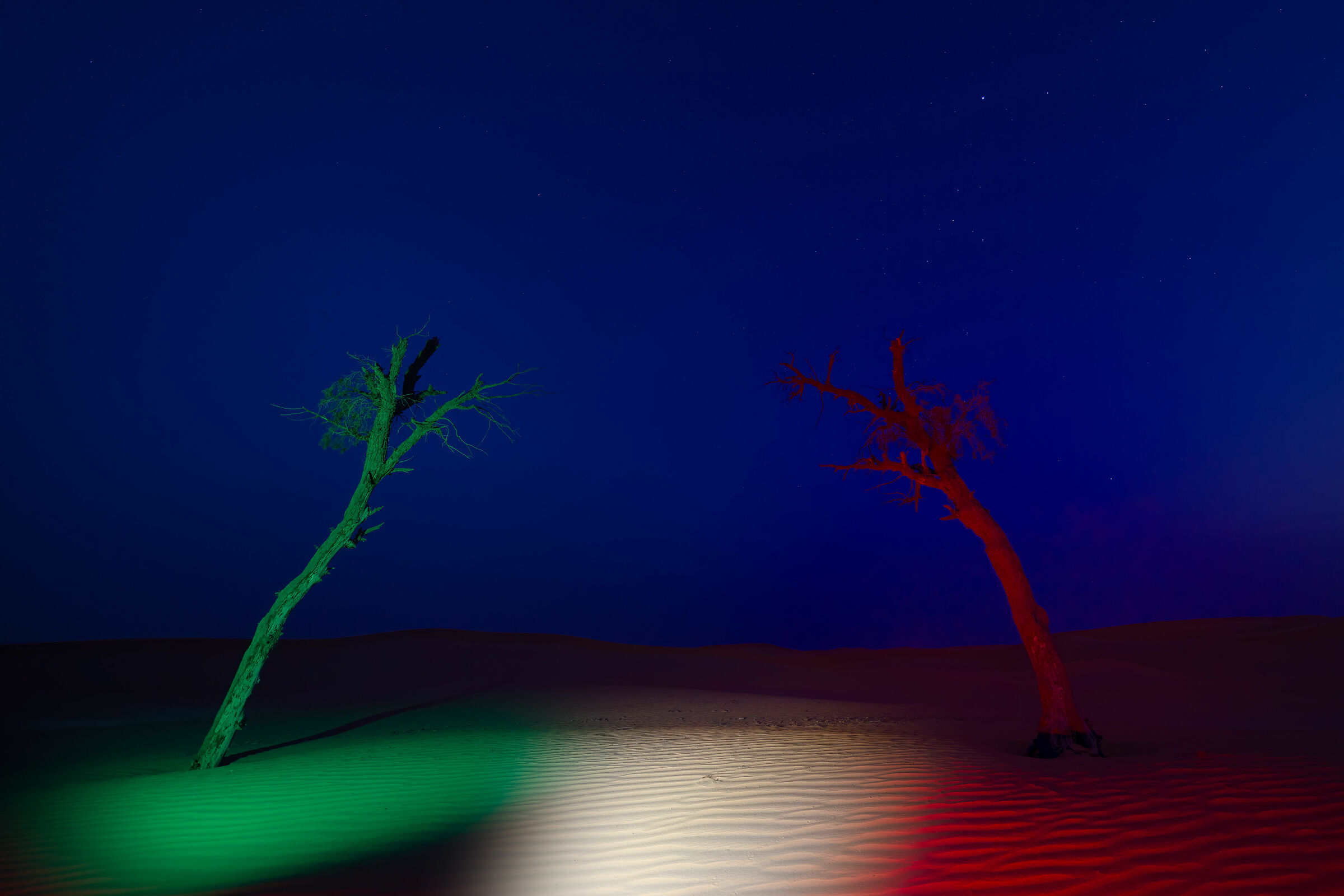 Dopo l'inverno c'e' sempre la primavera