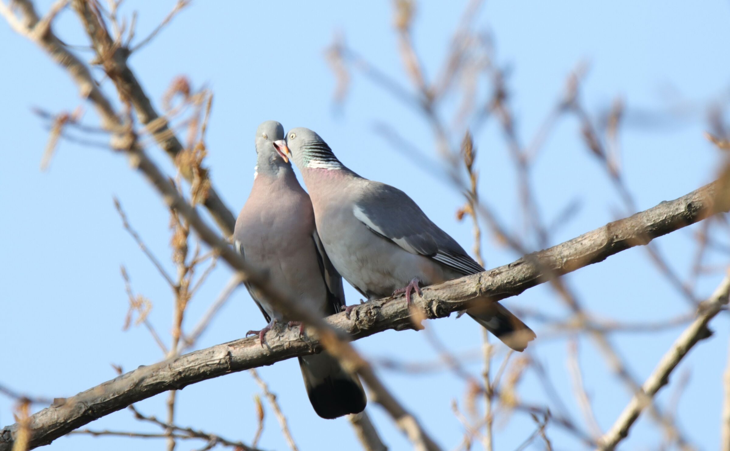 love exchange of food