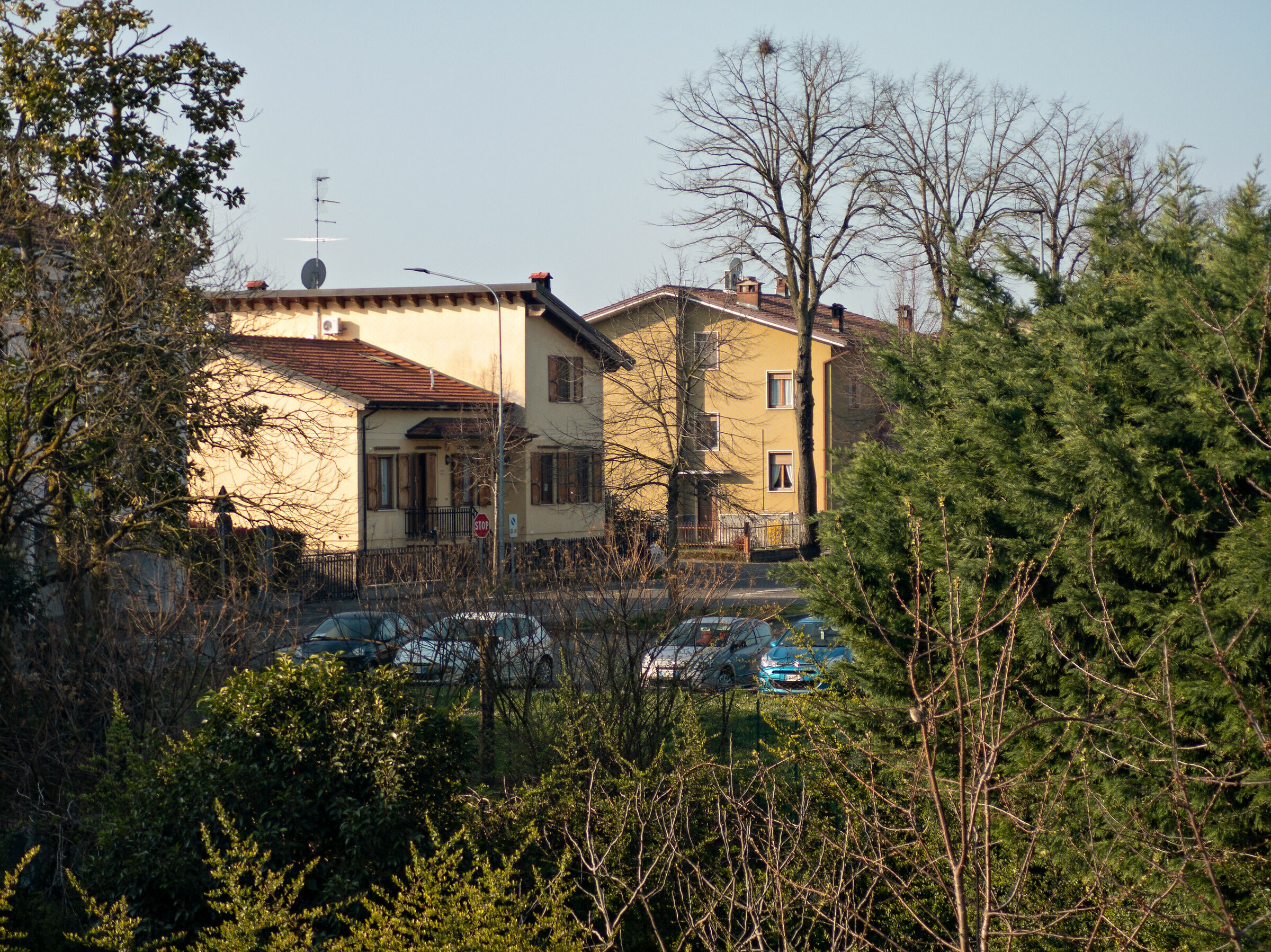 Sample Camera 3.7x (90mm), distant subject