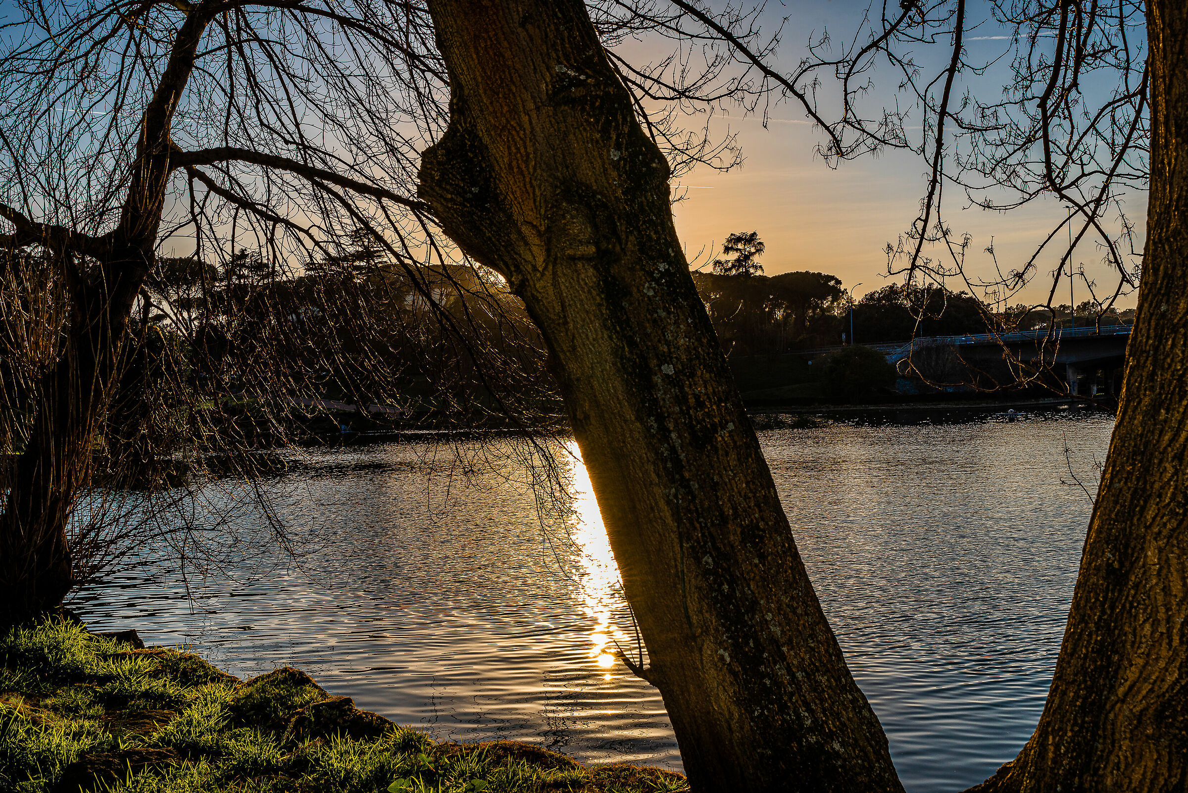 Roma, Laghetto dell'EUR