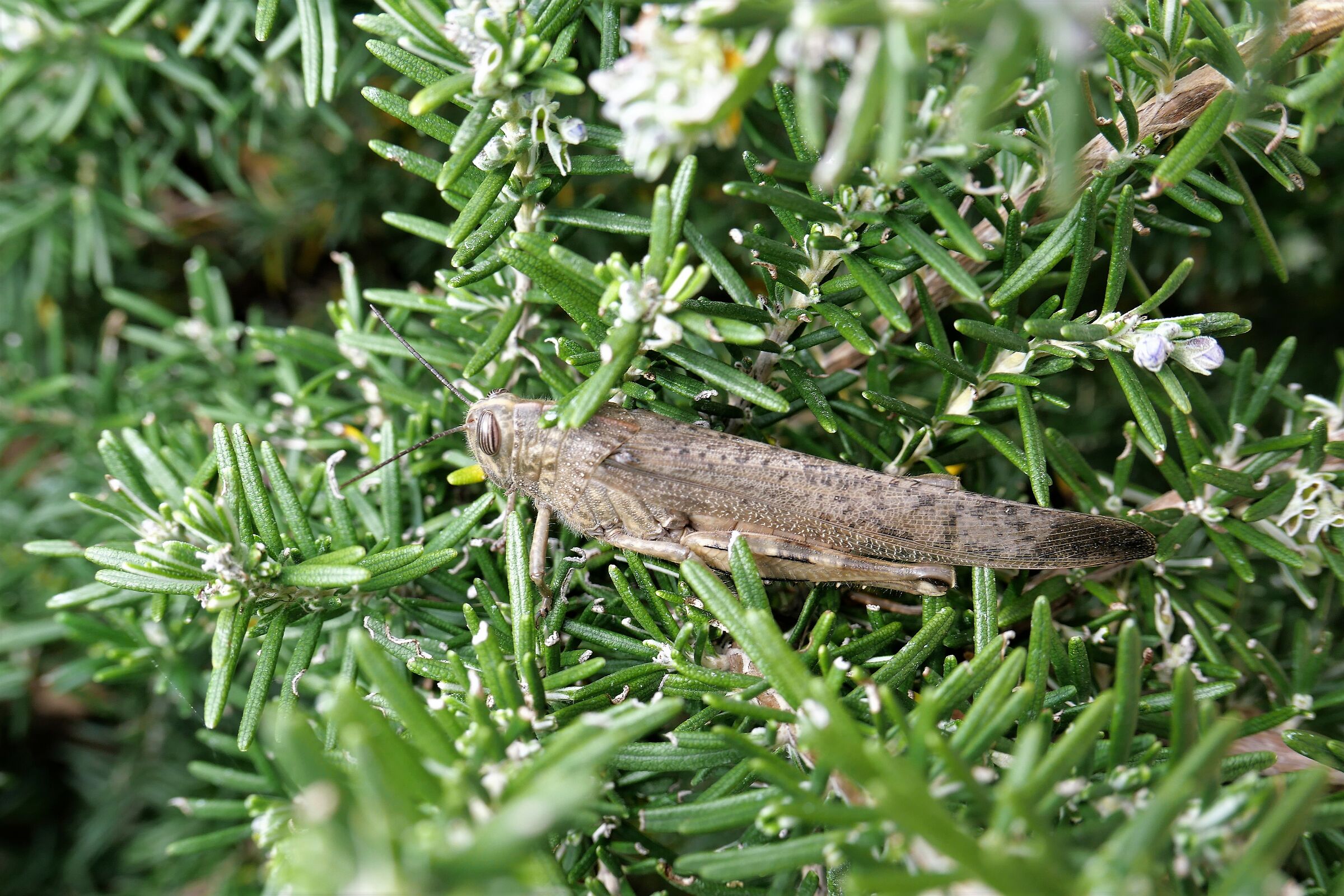 Ma che male ho fatto?