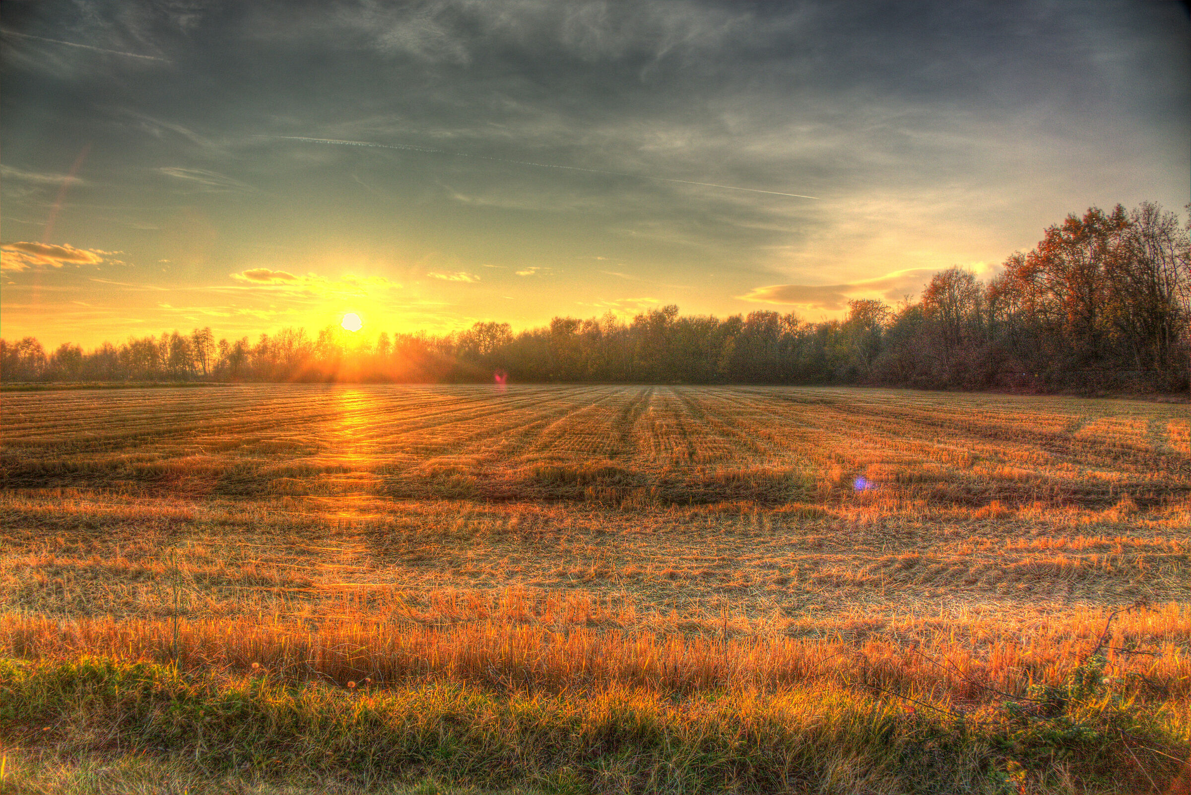 Sunset over dry rice paddies 2017 2020