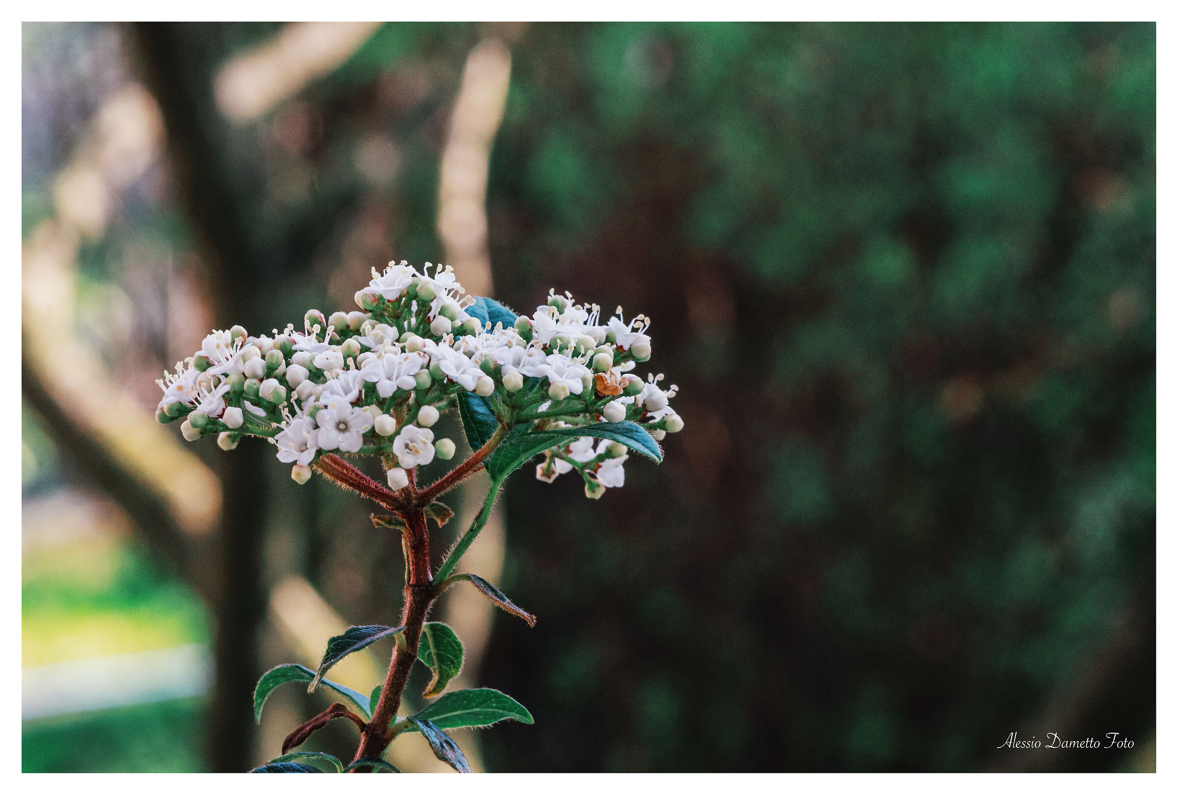 Untitled Photo
