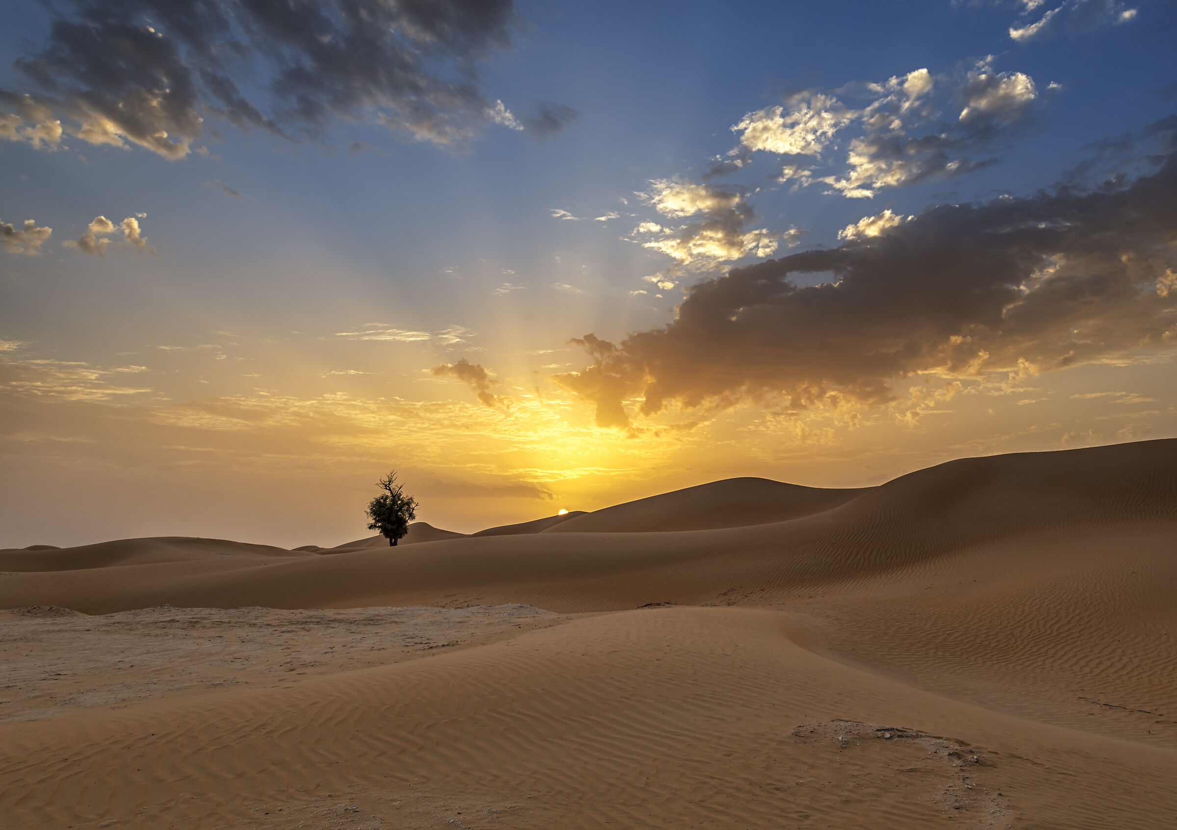 Sunset in the desert