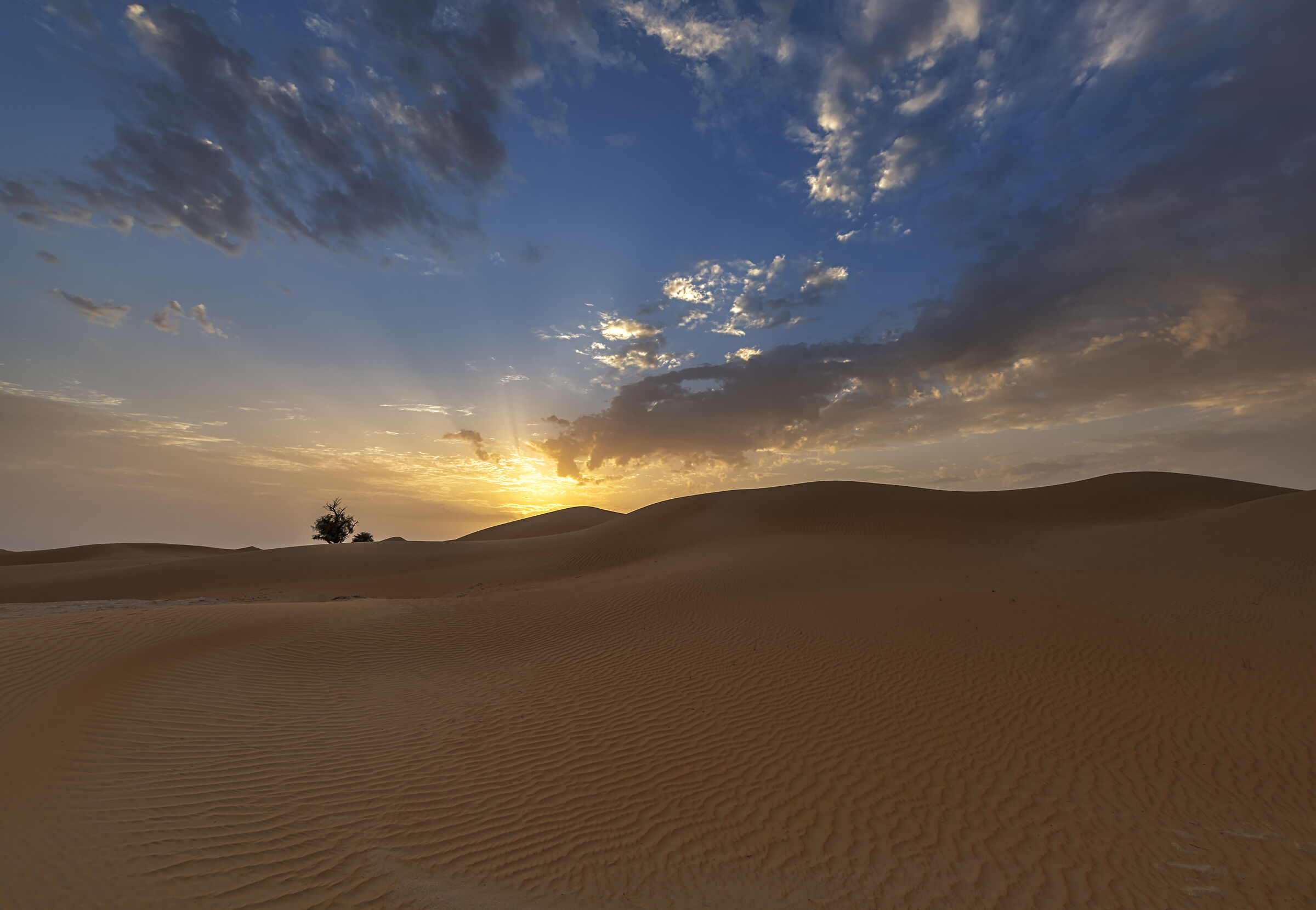 Sunset in the desert