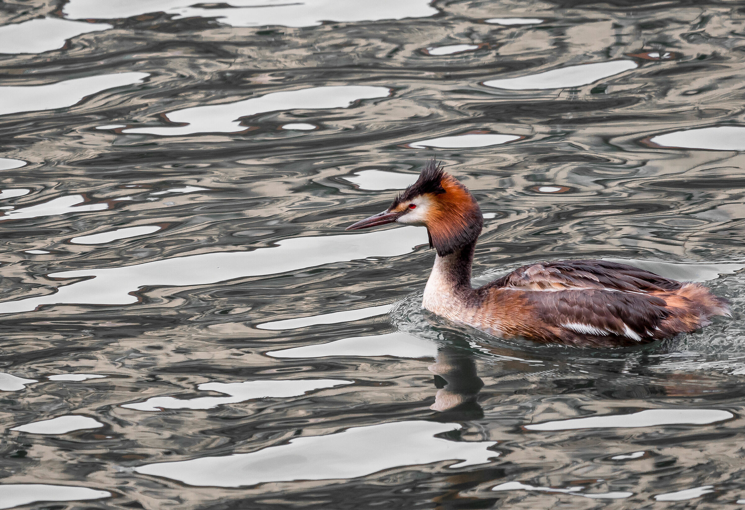 Scivolando e galleggiando n° 2