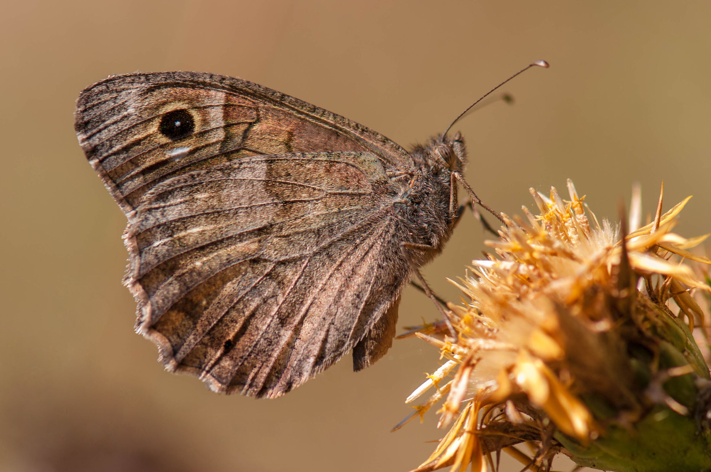Proprio un anno fa .. di questi tempi ...