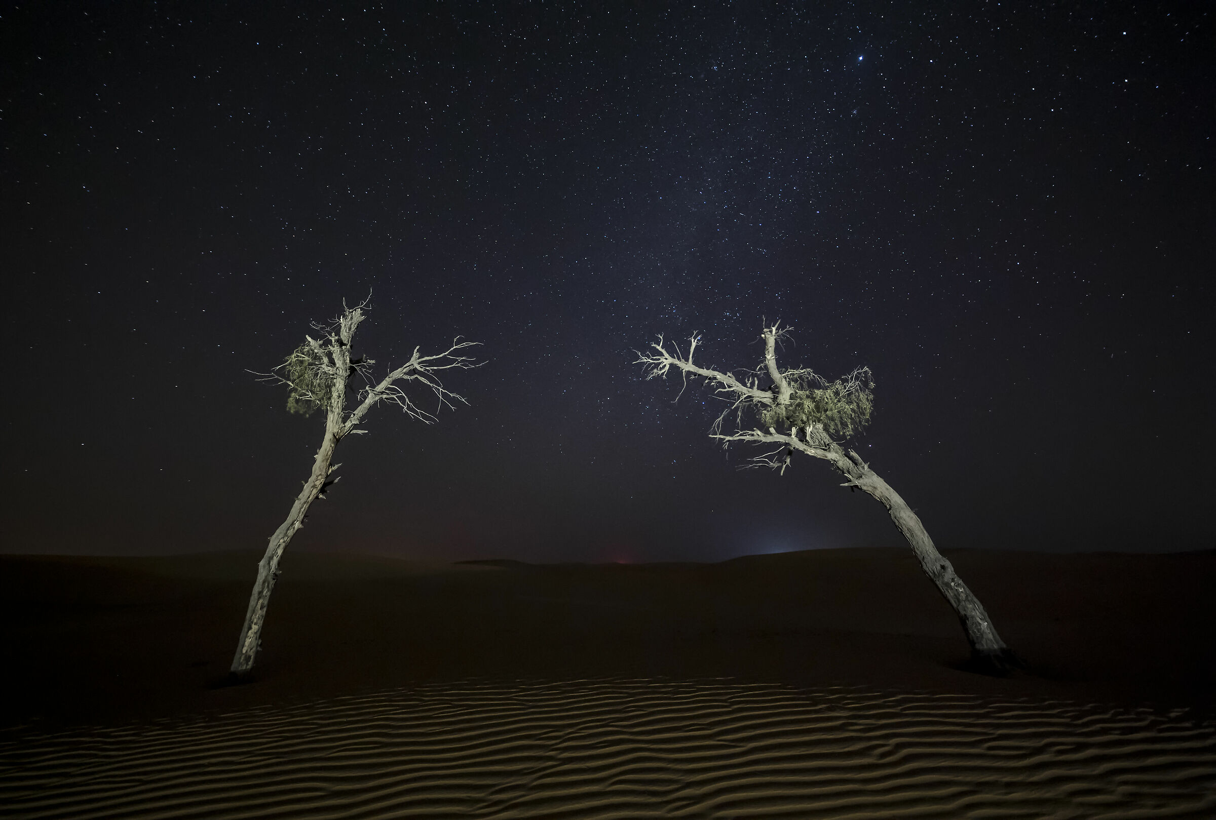 Night in the desert