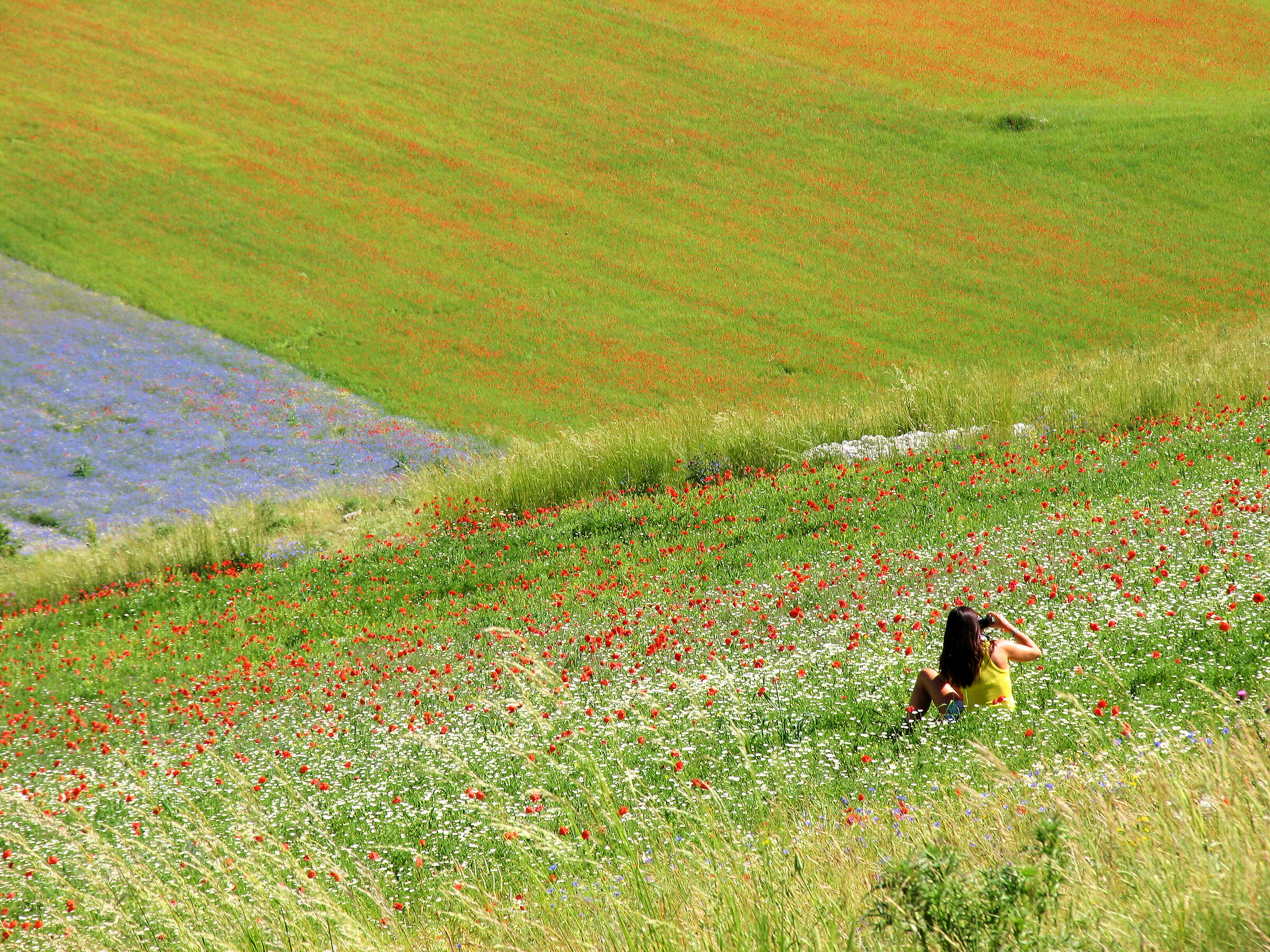Castelluccio 2012: Total immersion